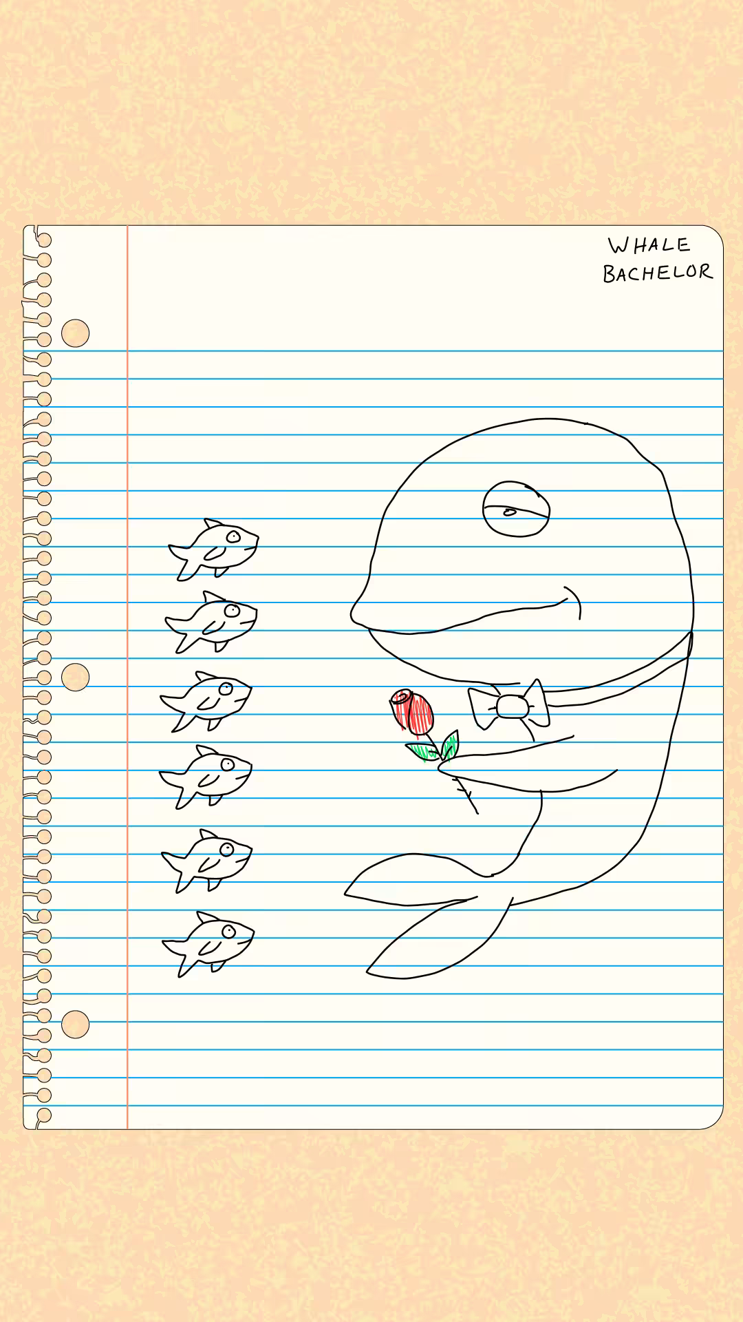 whale bachelor