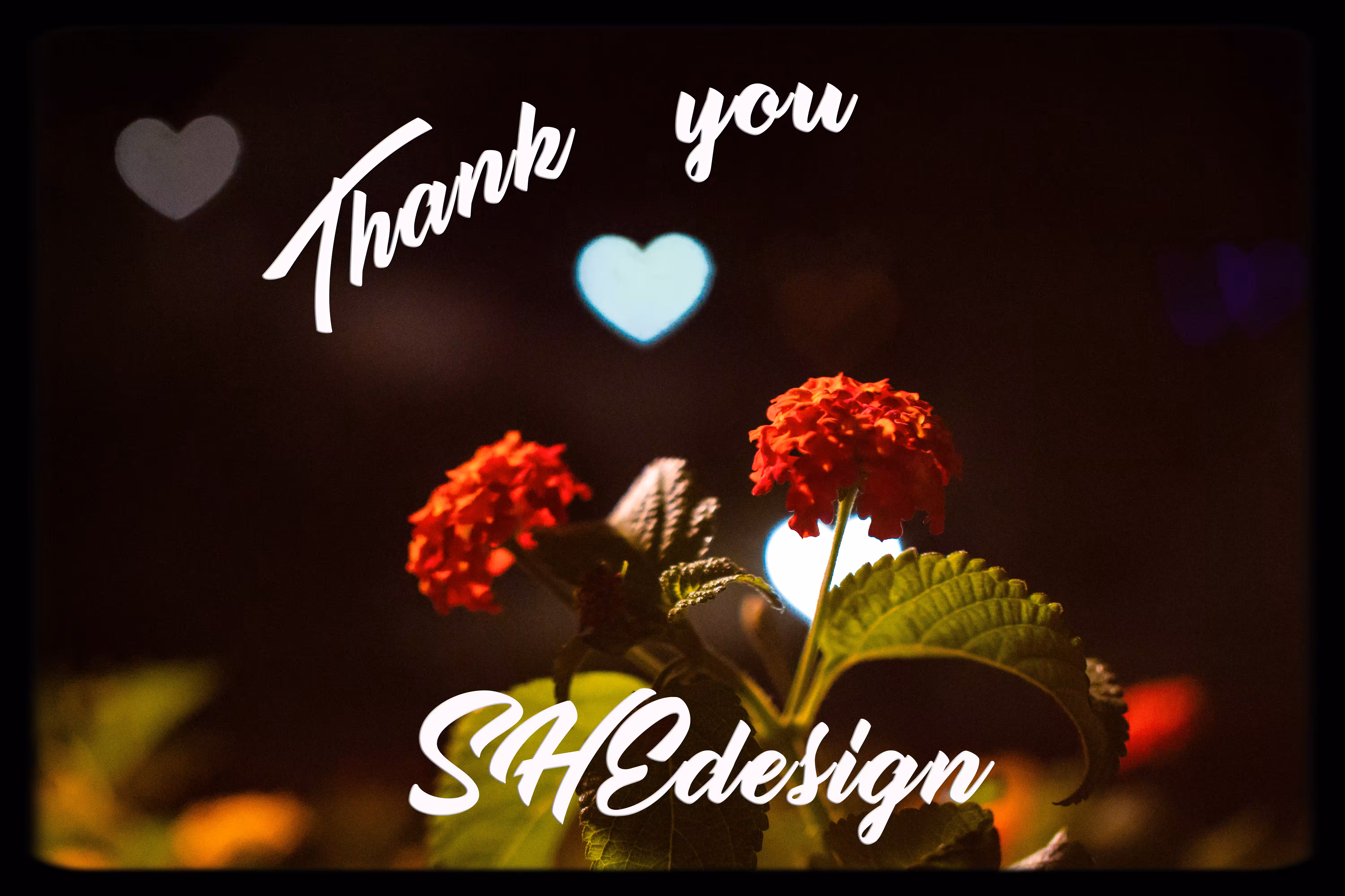 Thank You SHEdesign