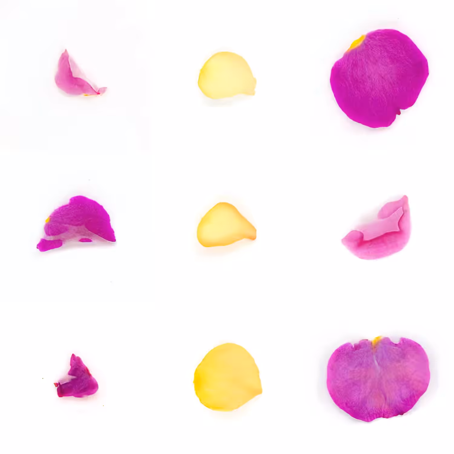 Infinite Petals 3x3#44