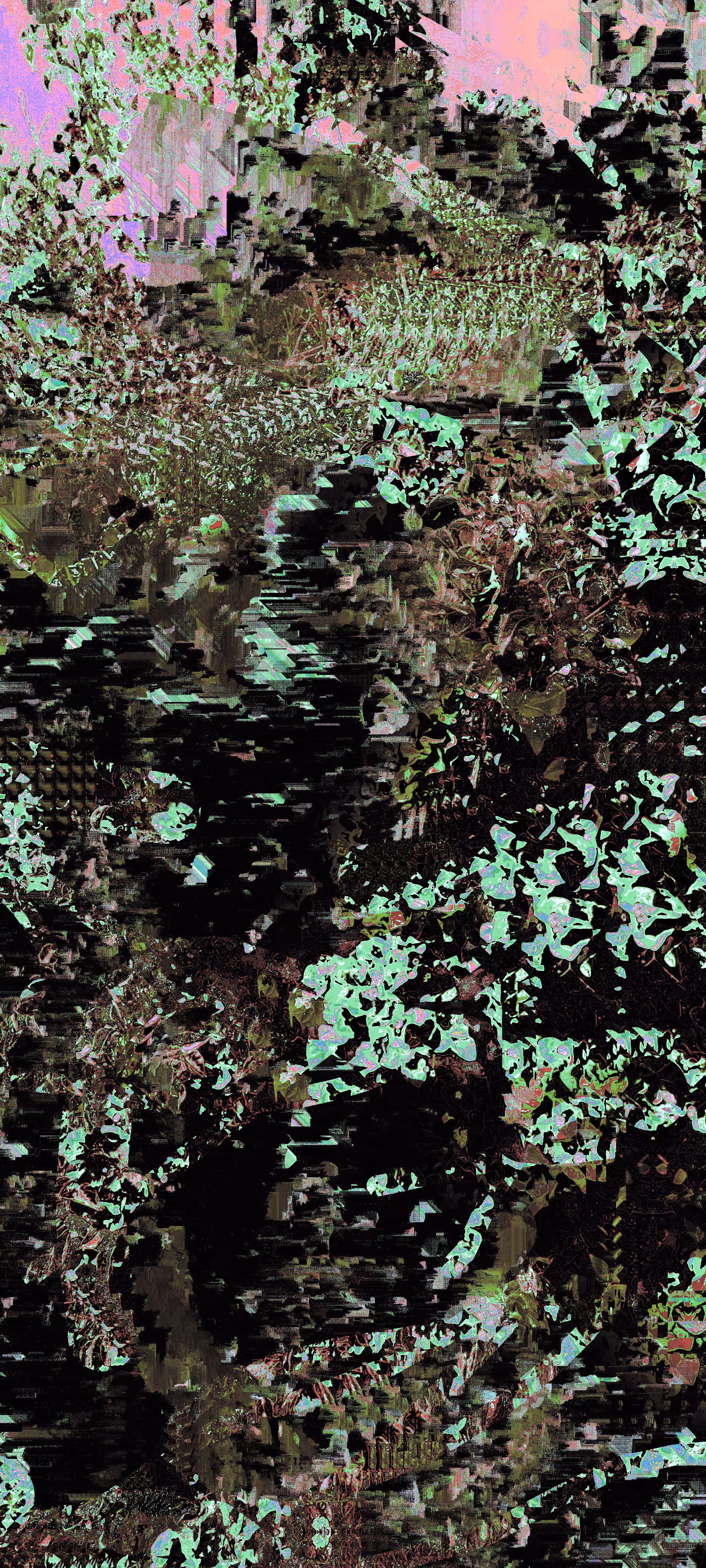 Flowers in my attic- "💚"