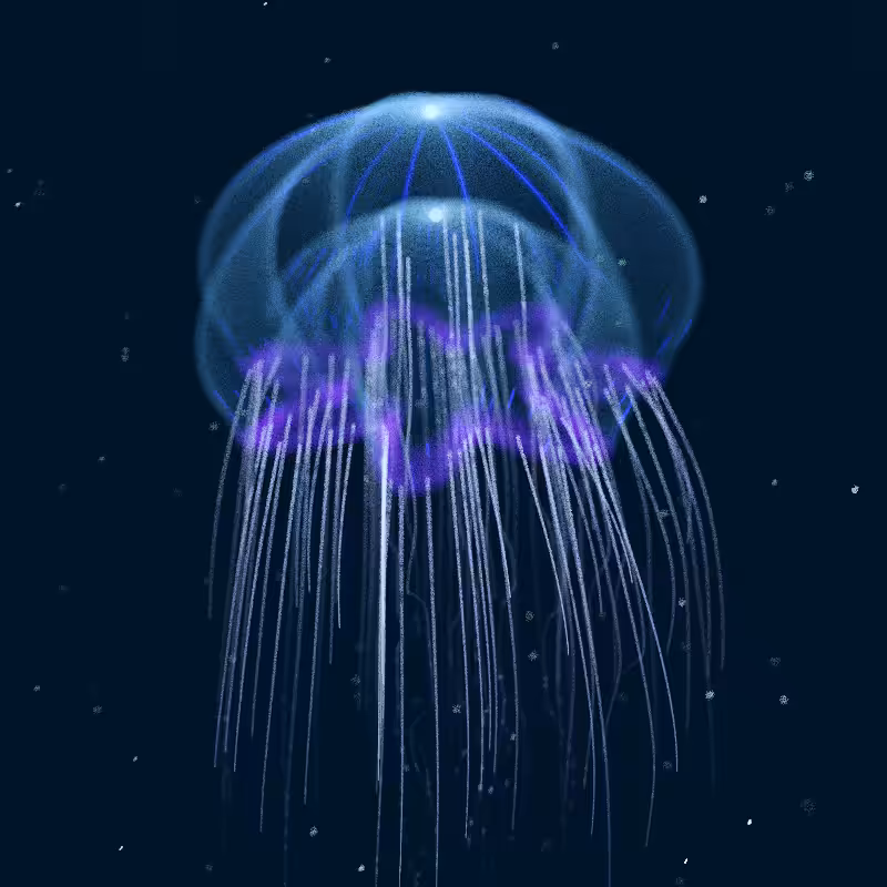 Creatures of the Deep #1 - The Jellyfish #5