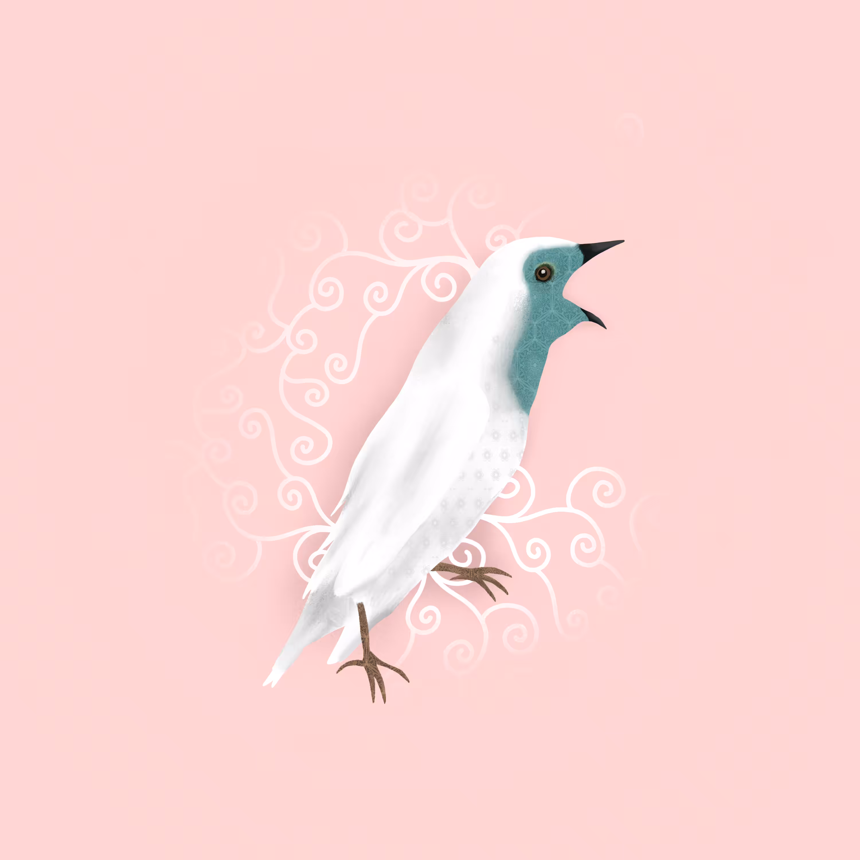 Araponga (Blacksmith bird)