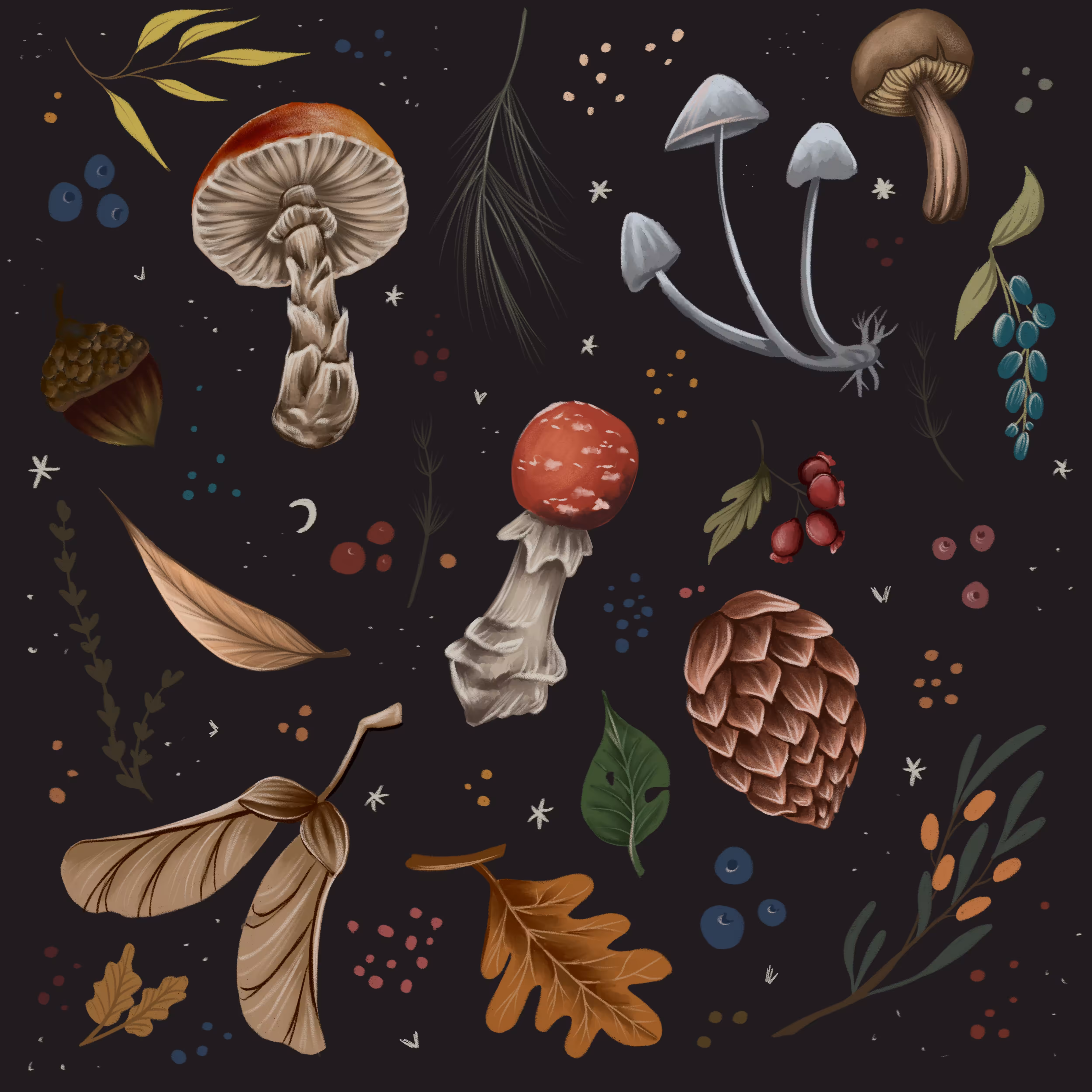 Forest beauty