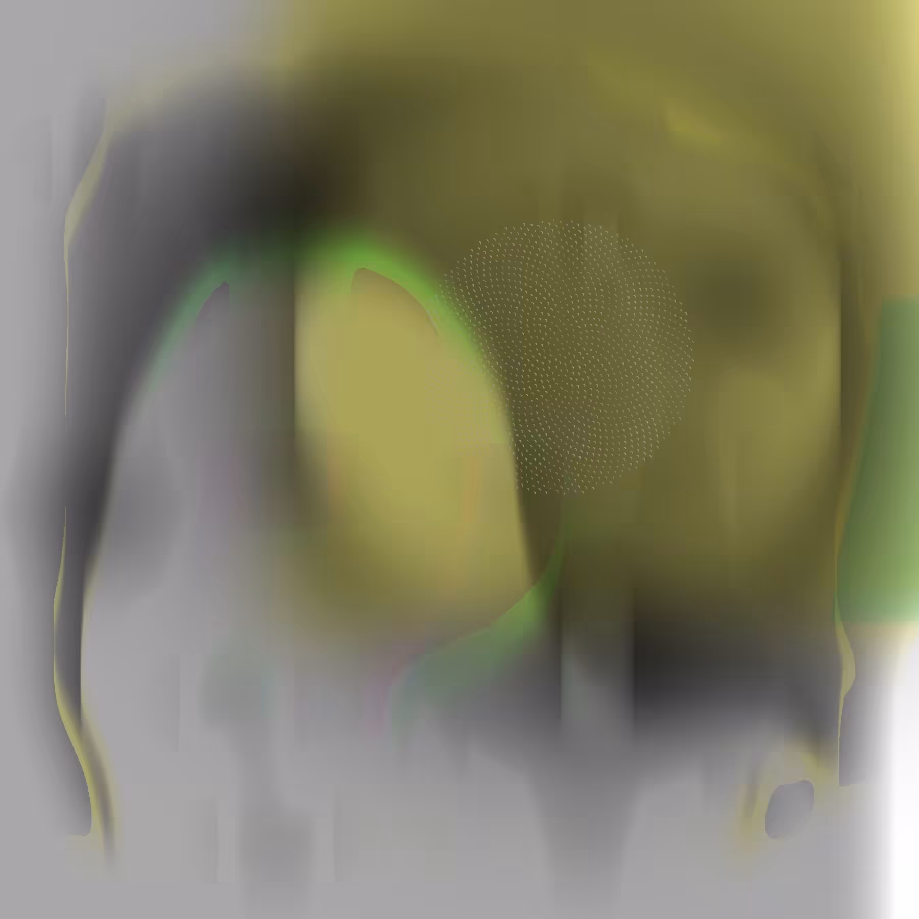 Jedjenn Ybhrjgwi Xbcam