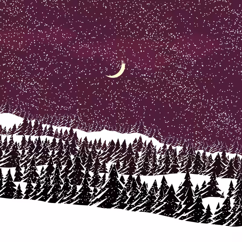 Winterland #120