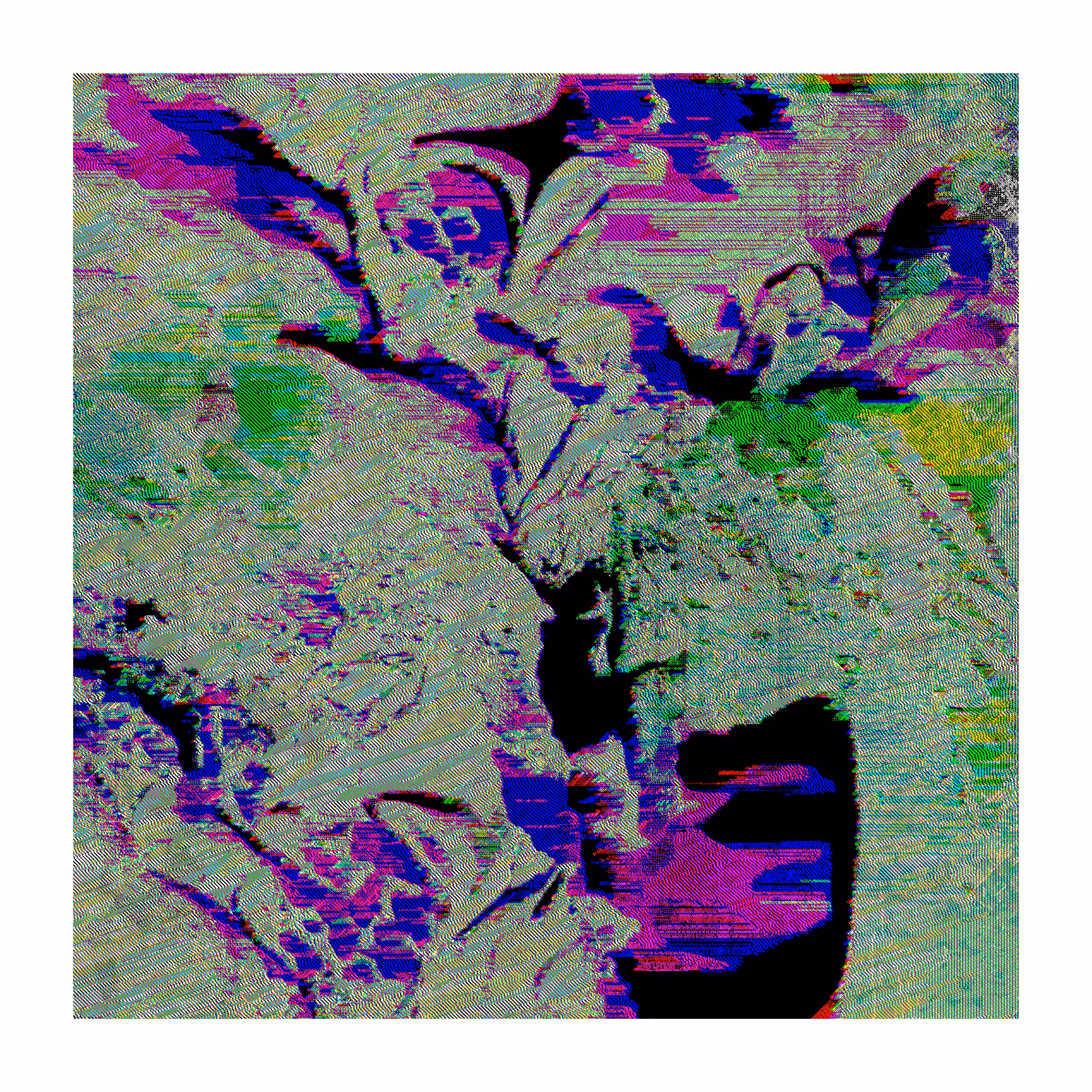 FHX-1 #19