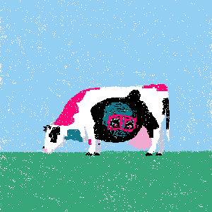 cows: cow #3