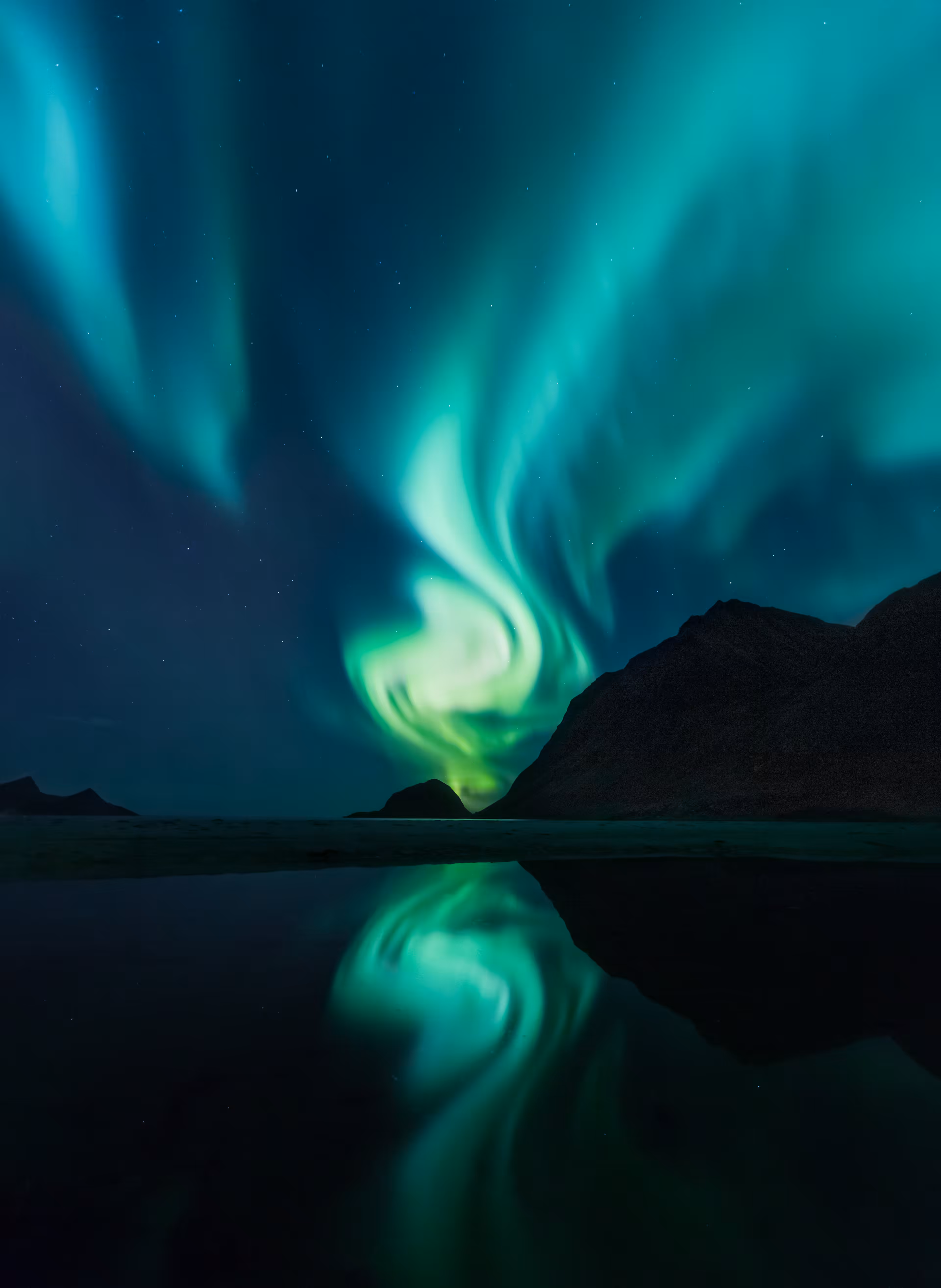 The Aurora Night