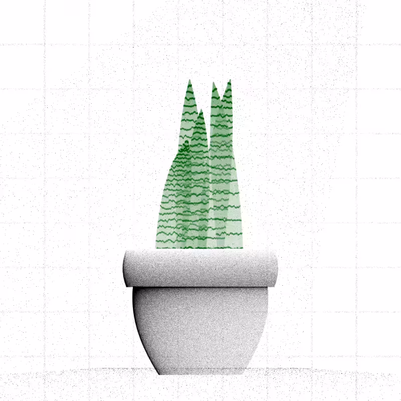 🌱 Potted & Printed #116