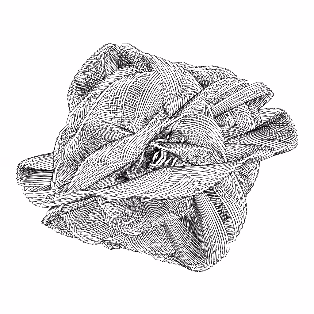 LL21 Entangled (3) #320