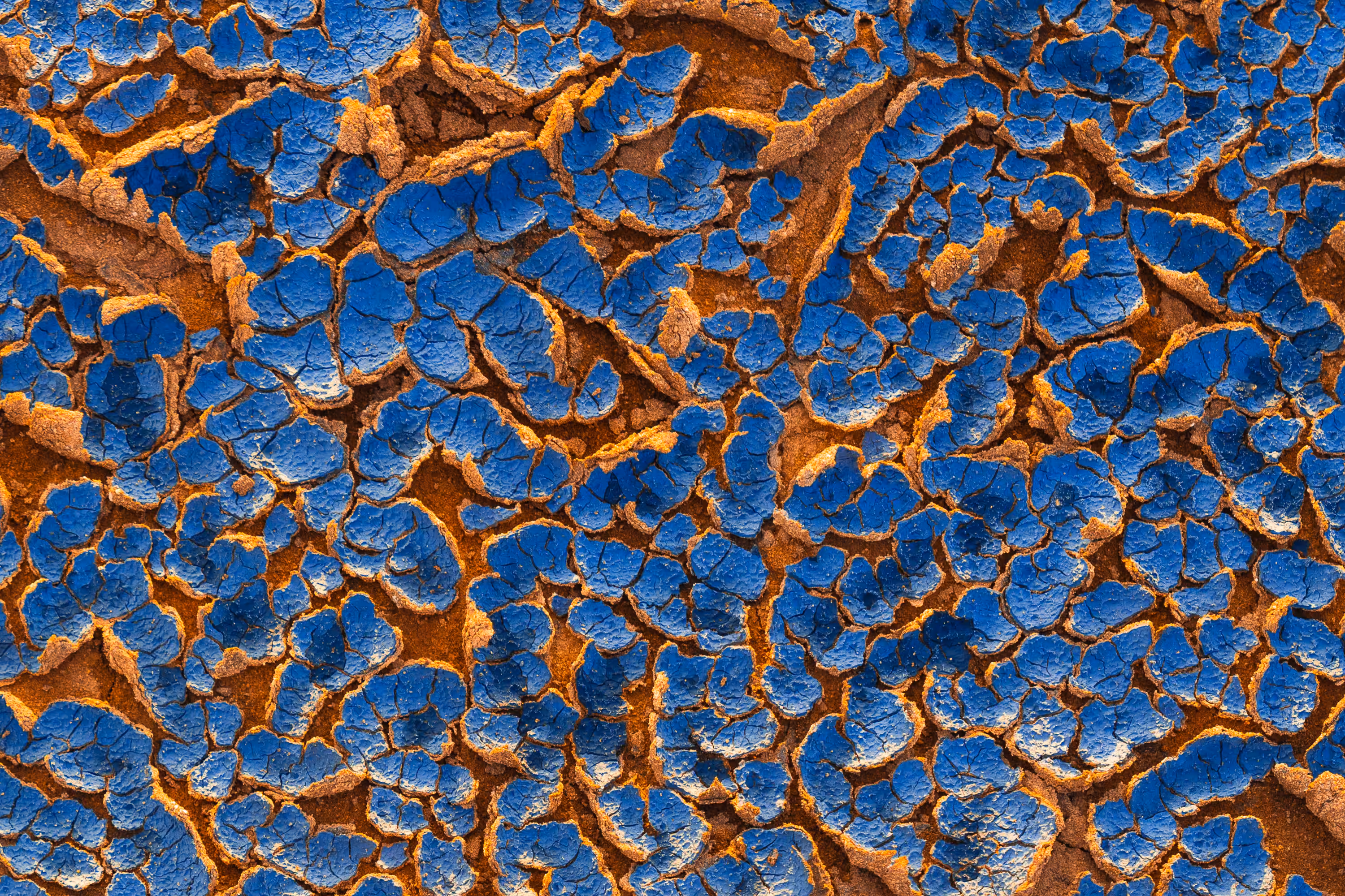 Earth Canvas #17