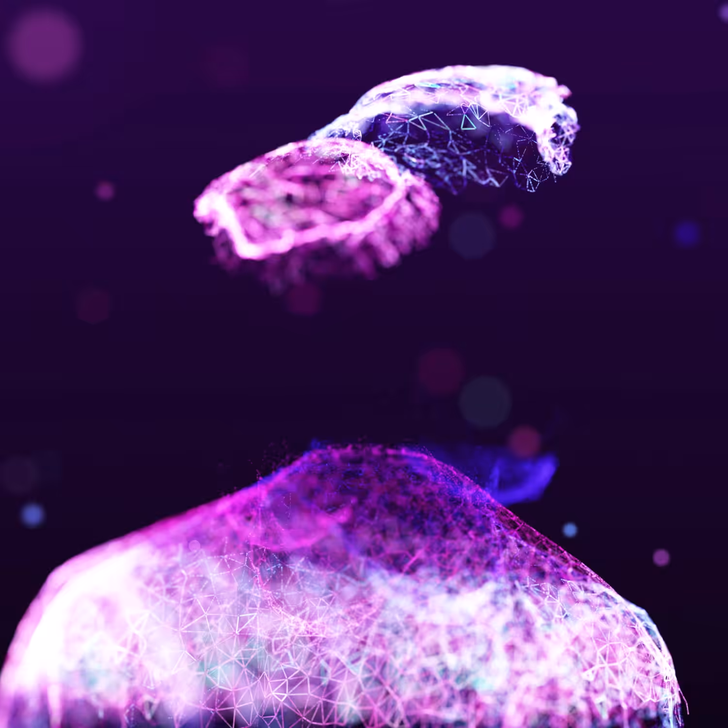Gemini Scan