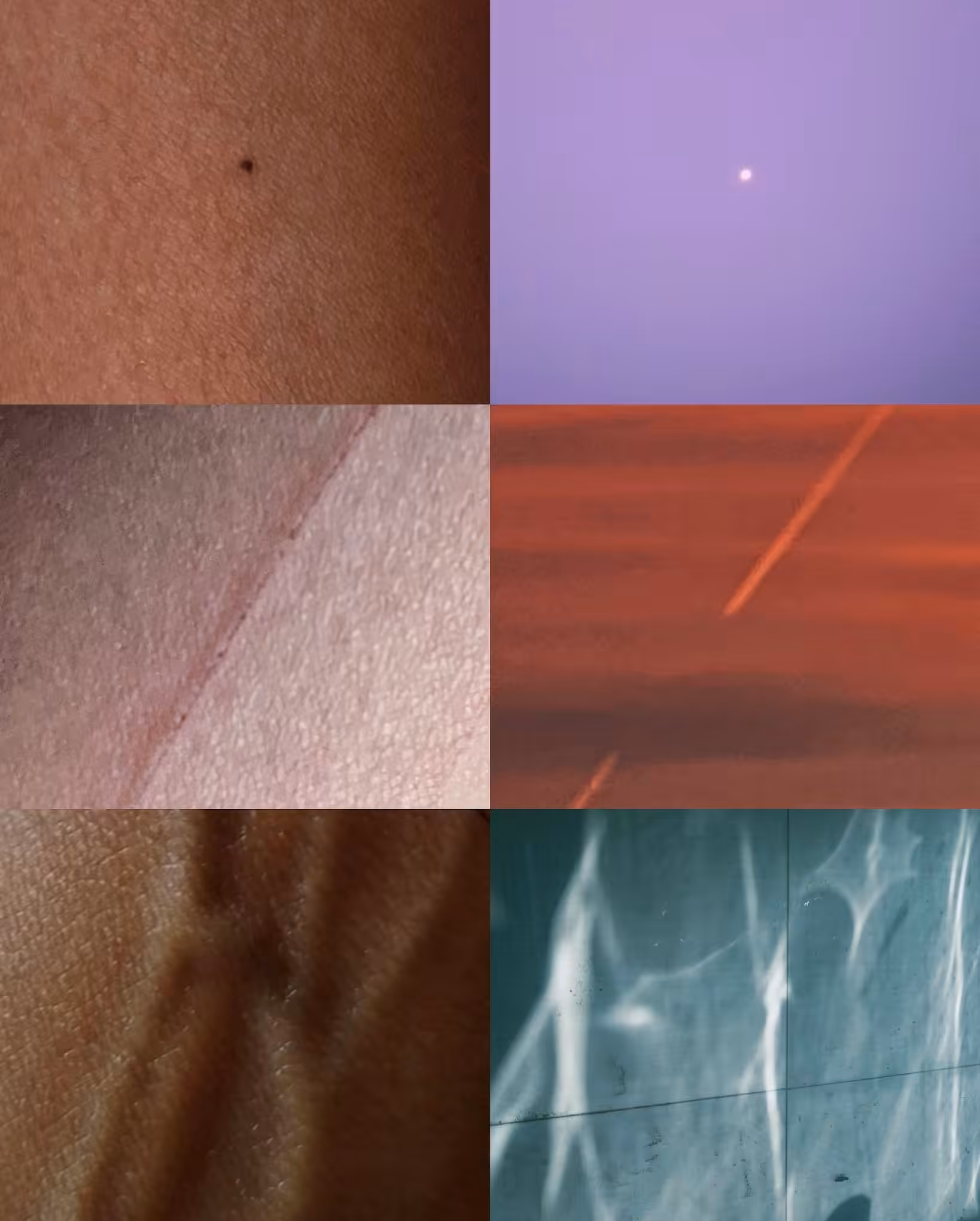 skin, nature: a study 