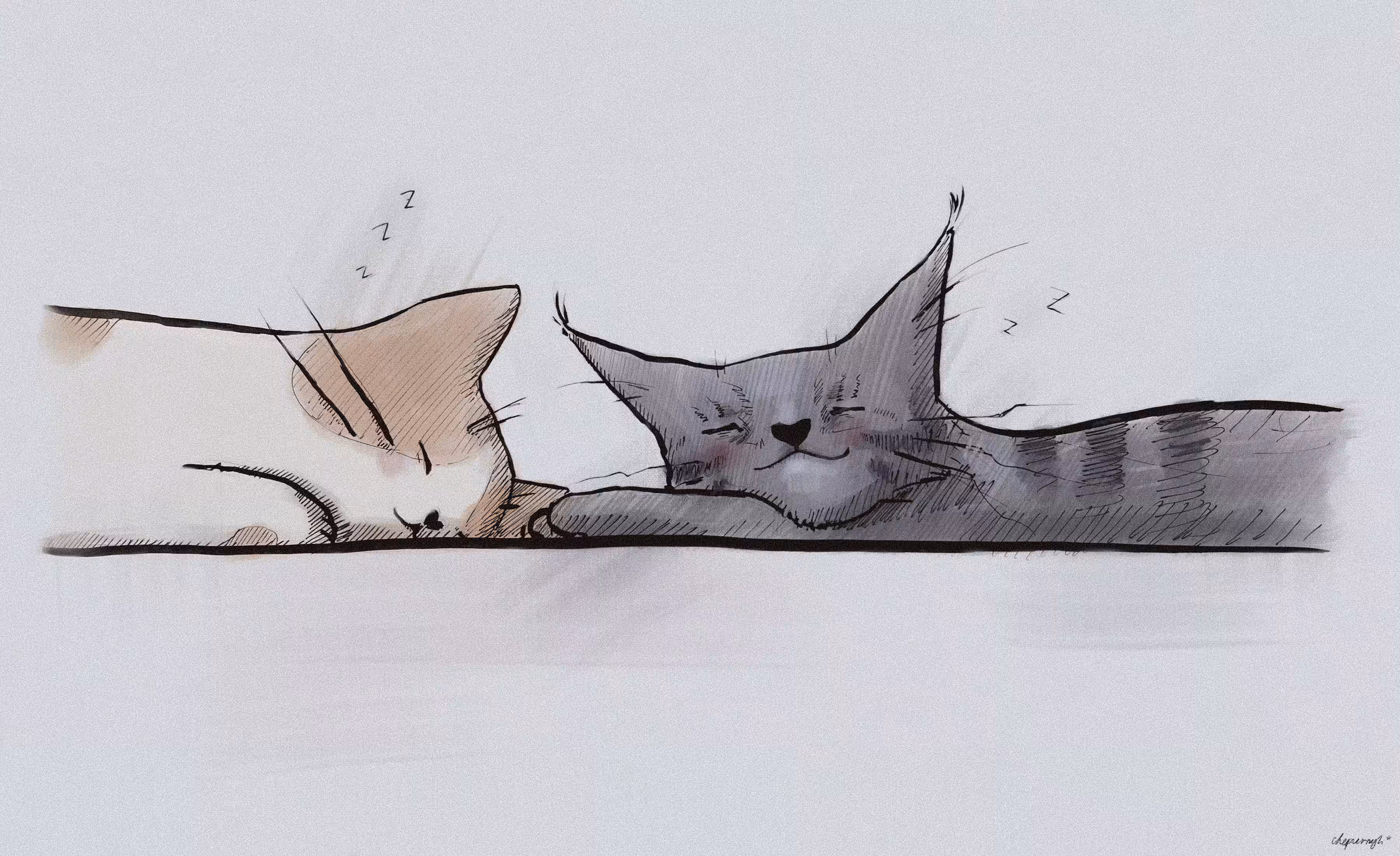 Furry Dreams