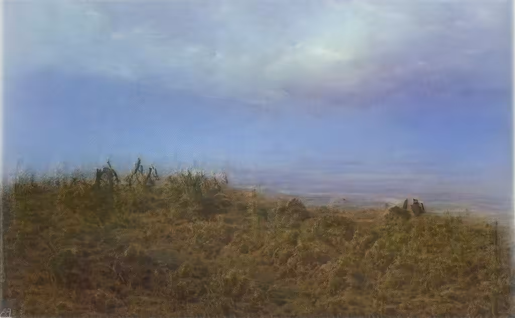 Paraíso 4