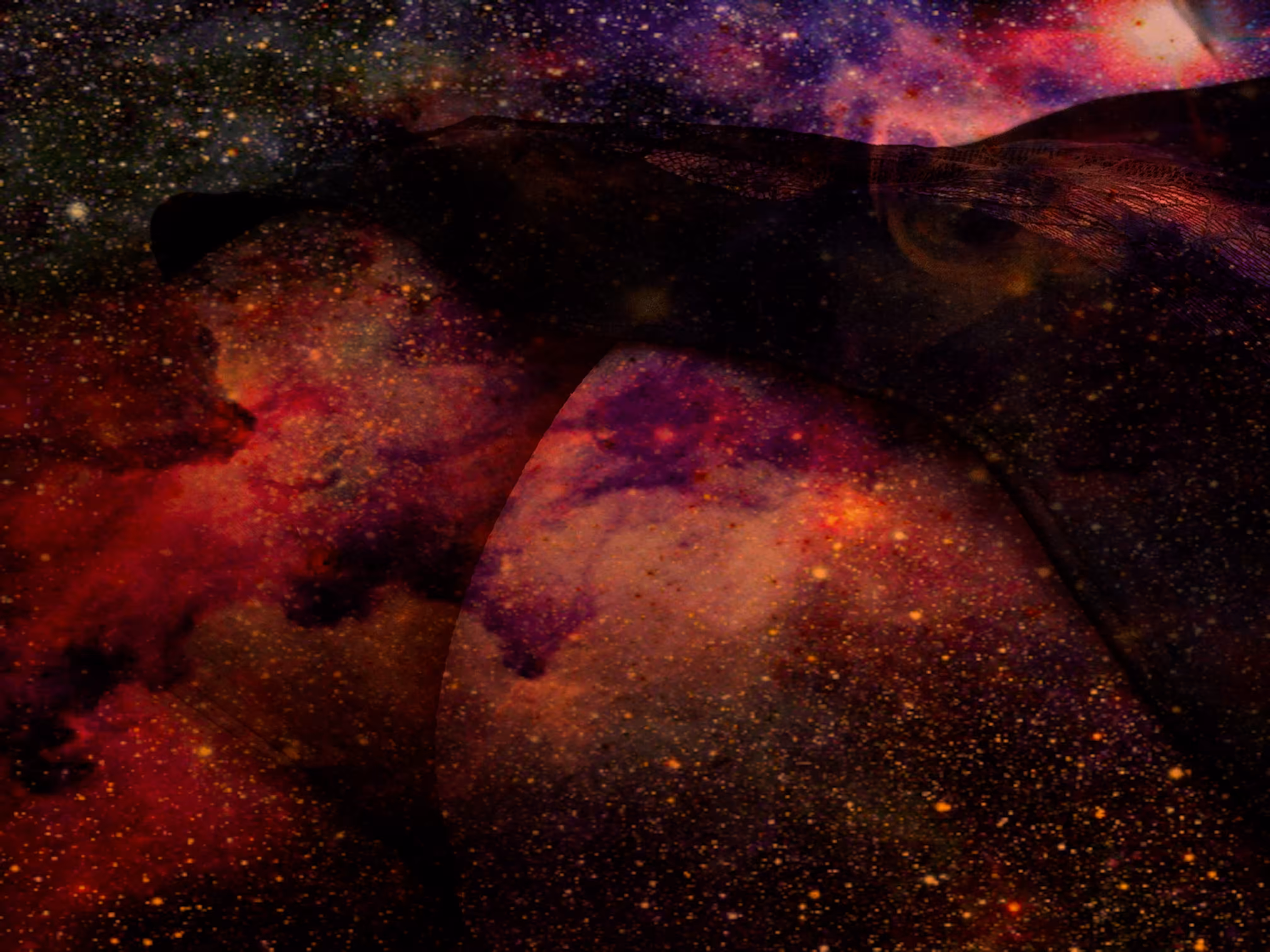 Universe 8