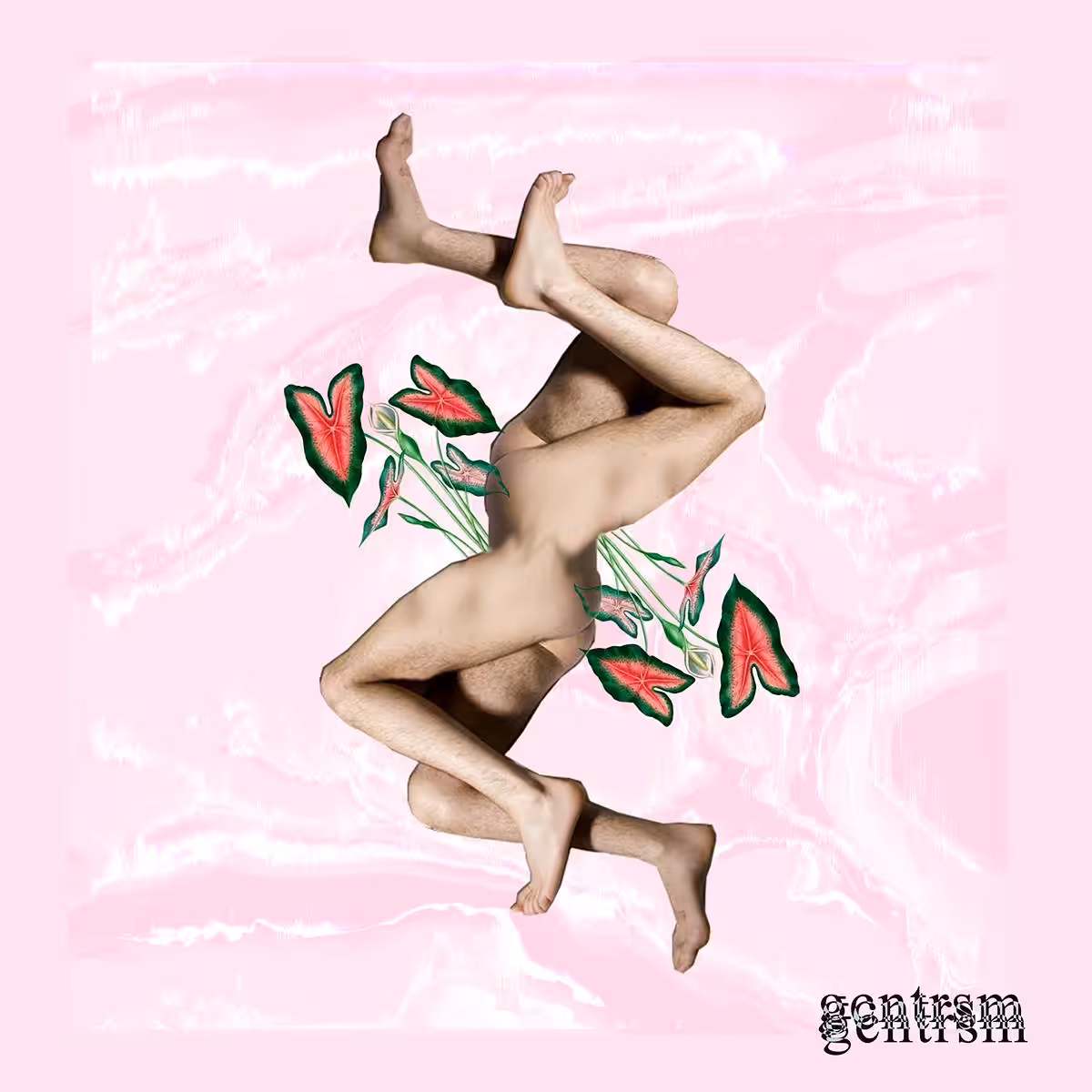 gnctrsm
