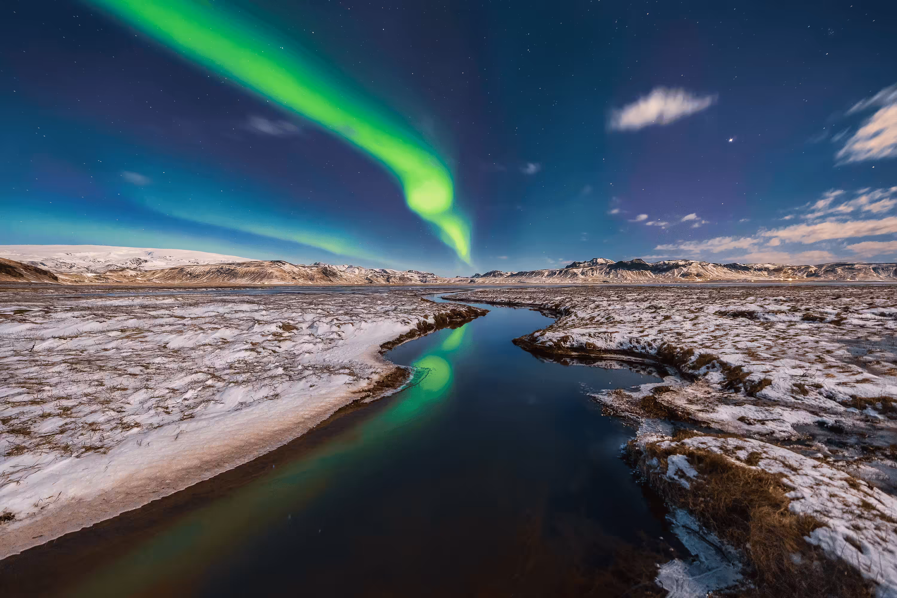 the Green symphony #19
