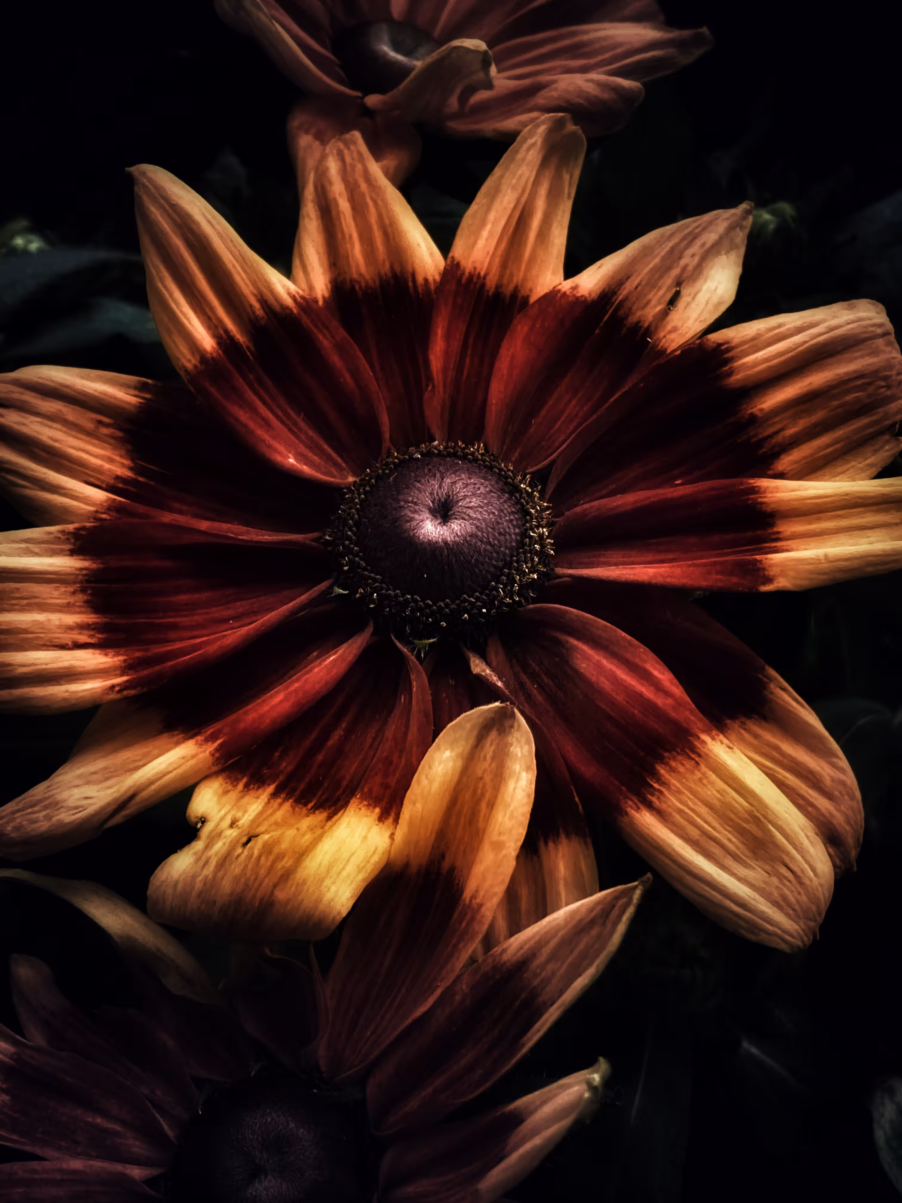 Aurous Spark