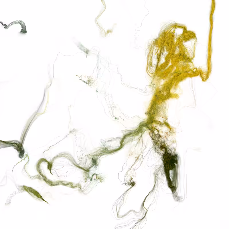 Hypericum #201