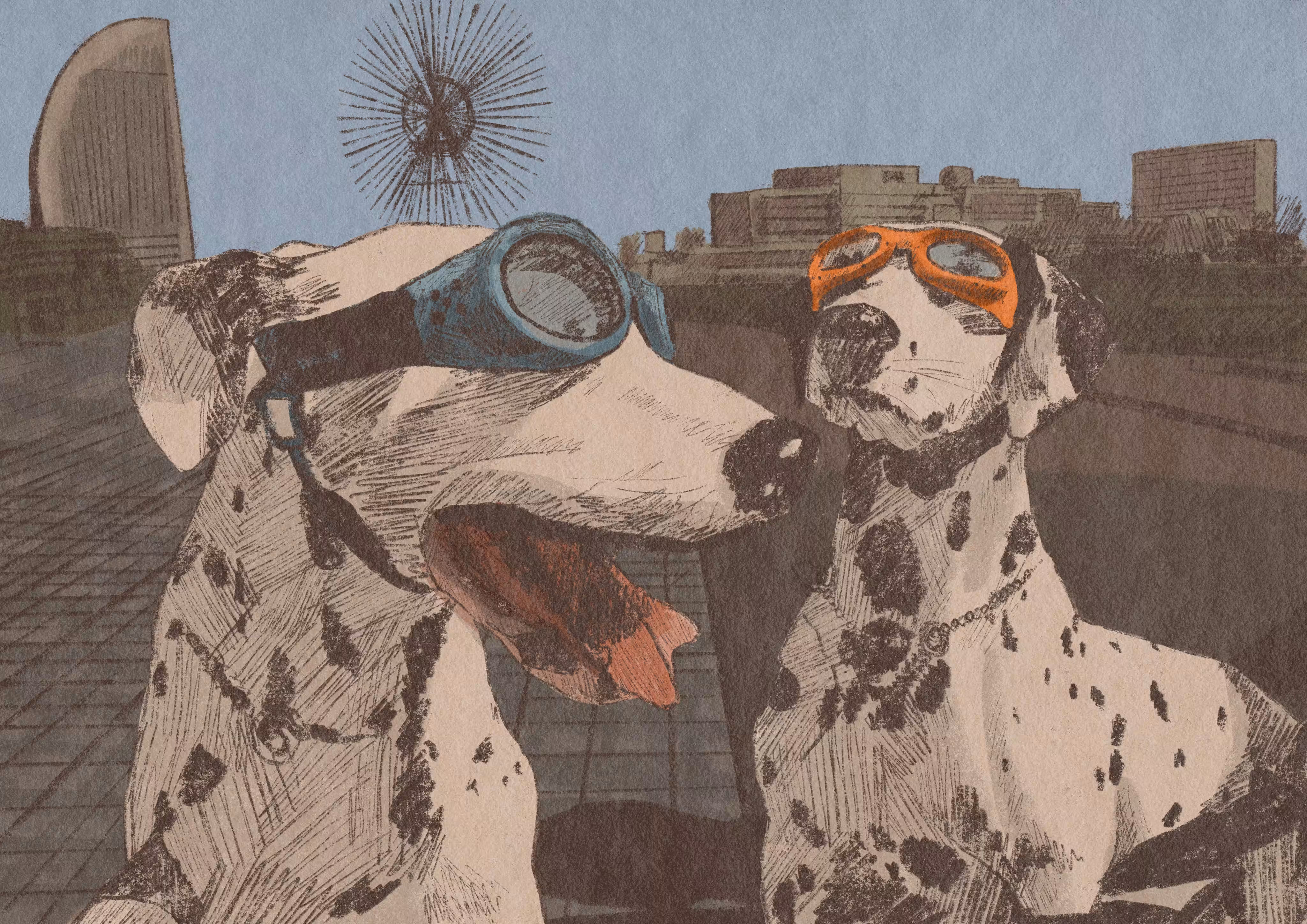 Welding doggles
