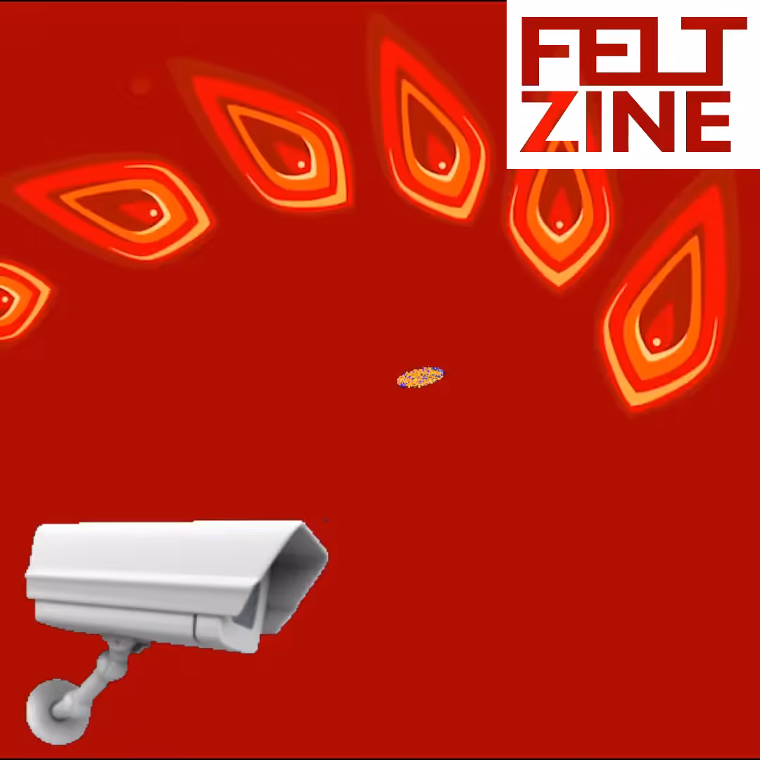 Canvas by Felt Zine: Canvas #356: upgrade. — watching. — flowers. — white box logo. — dreamscape