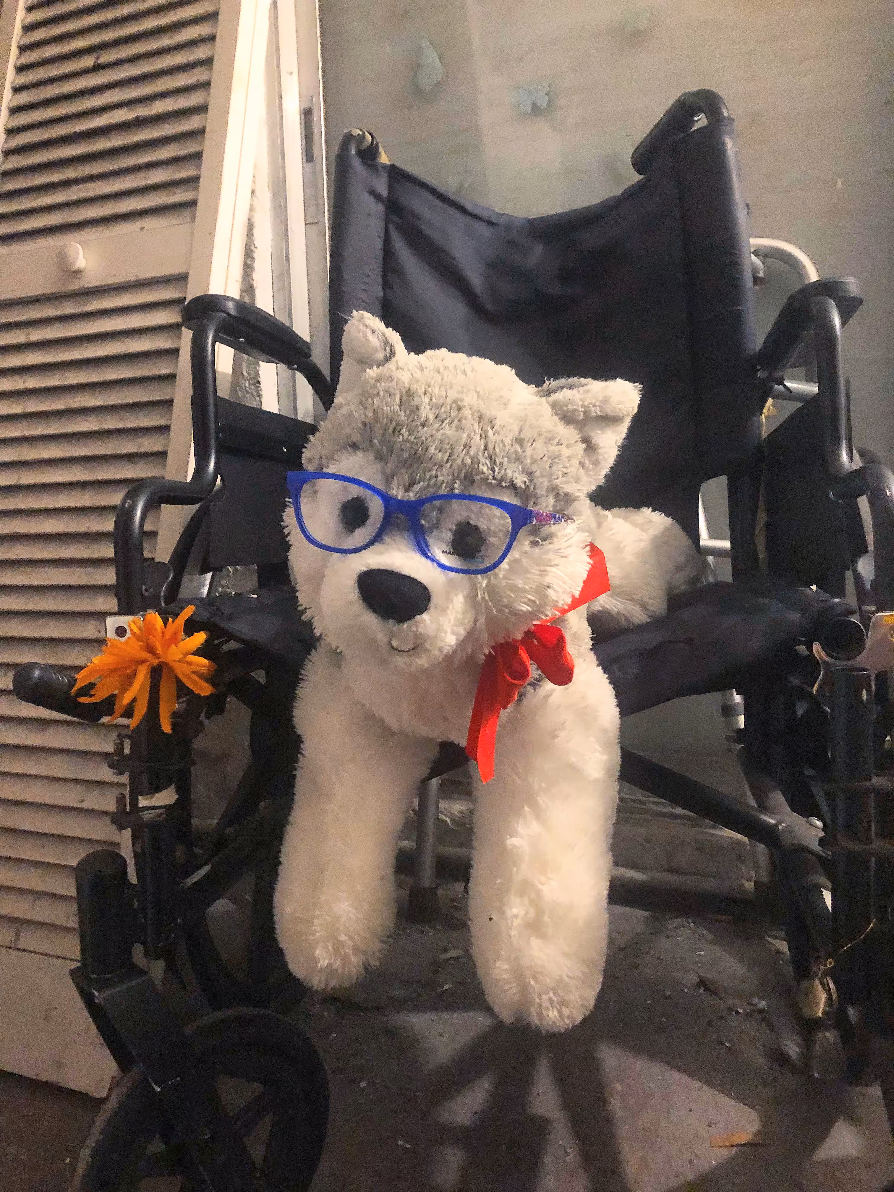LliteGreyPuppy