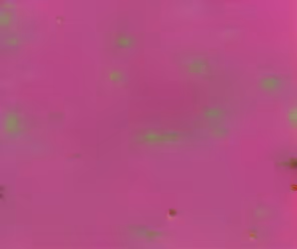 Nuclear fission