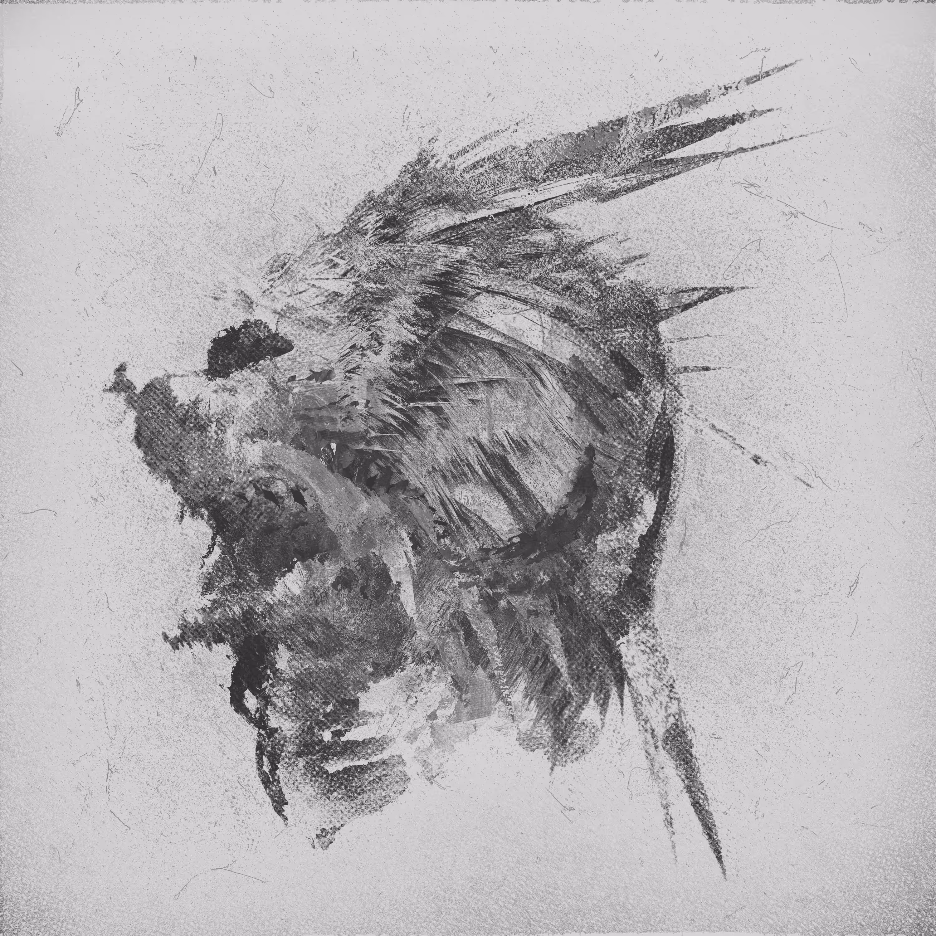 a wolf in sheeps skin