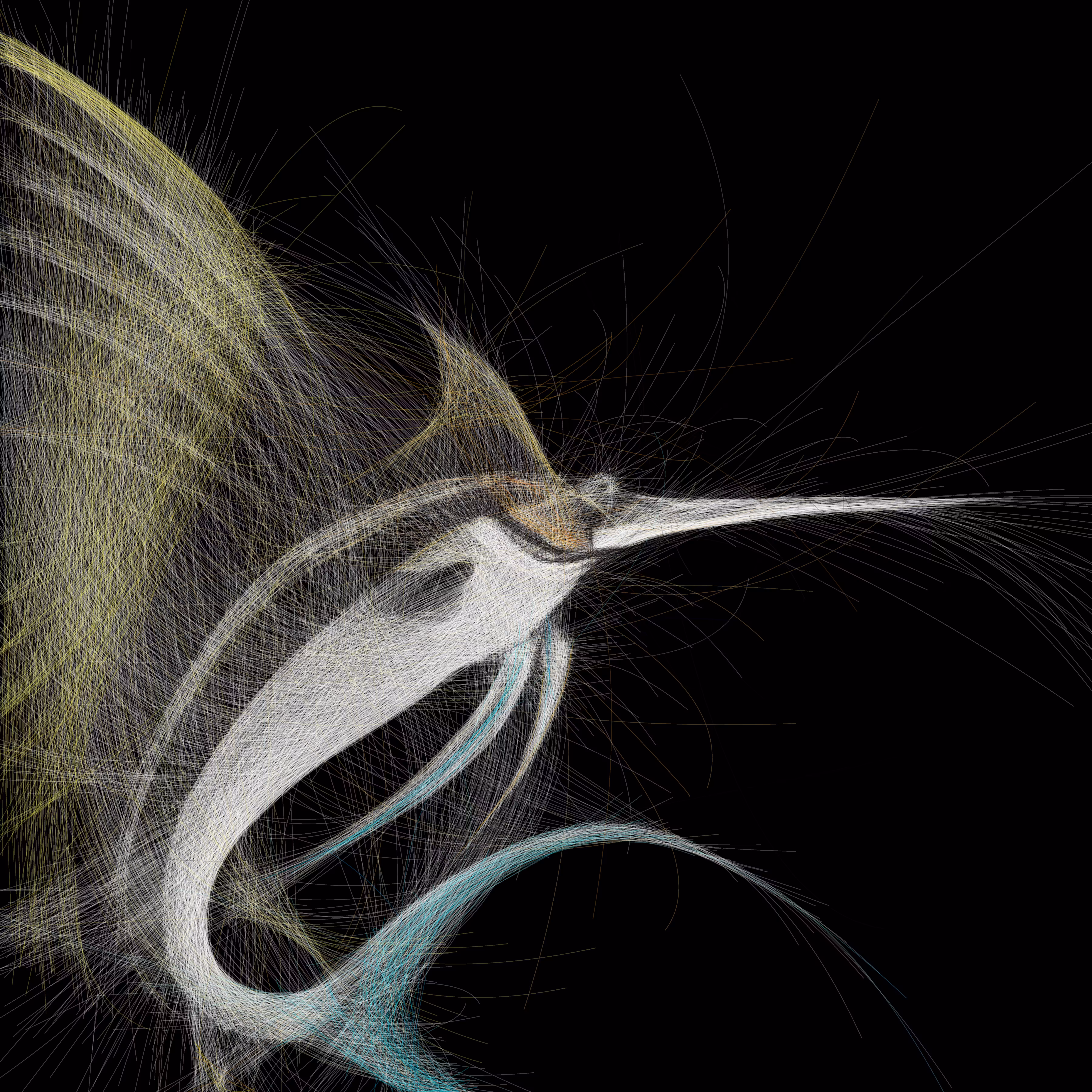 Underwater 254