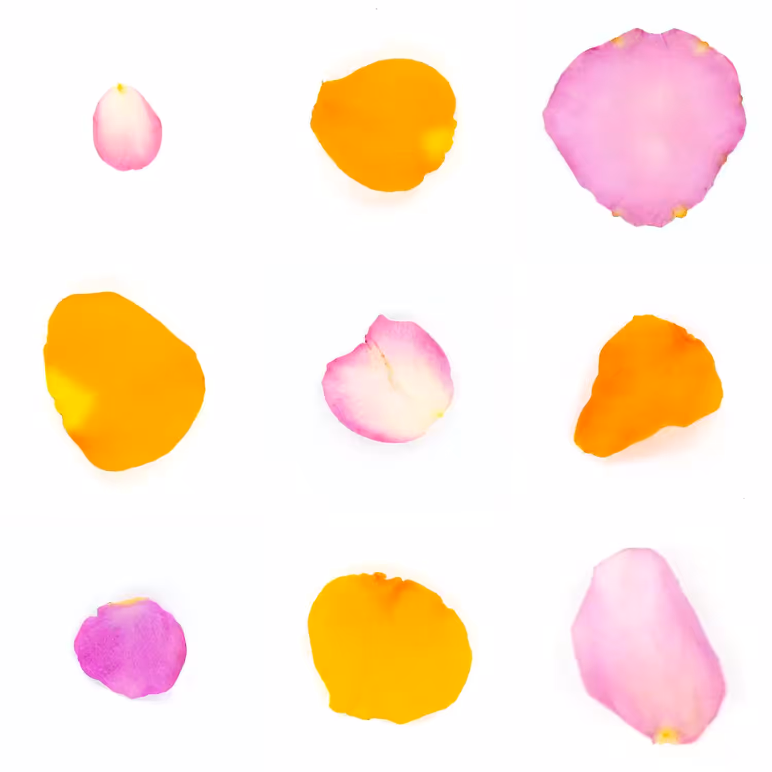 Infinite Petals 3x3#3622