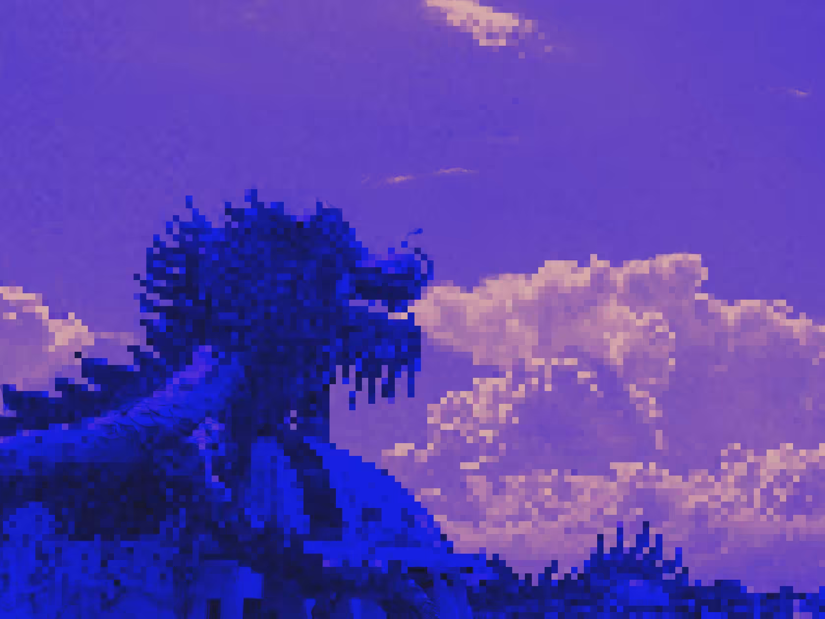 Chasing Dragons