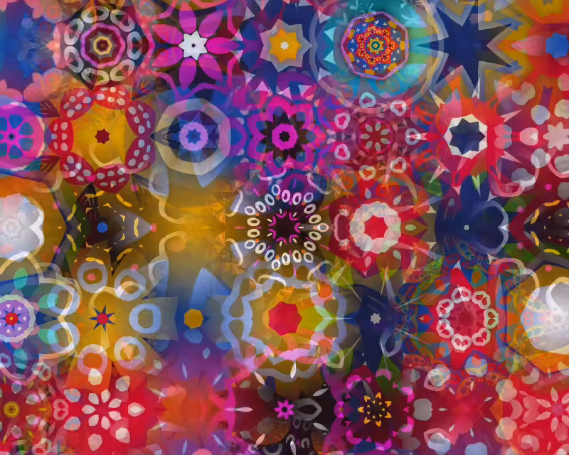 Bloom