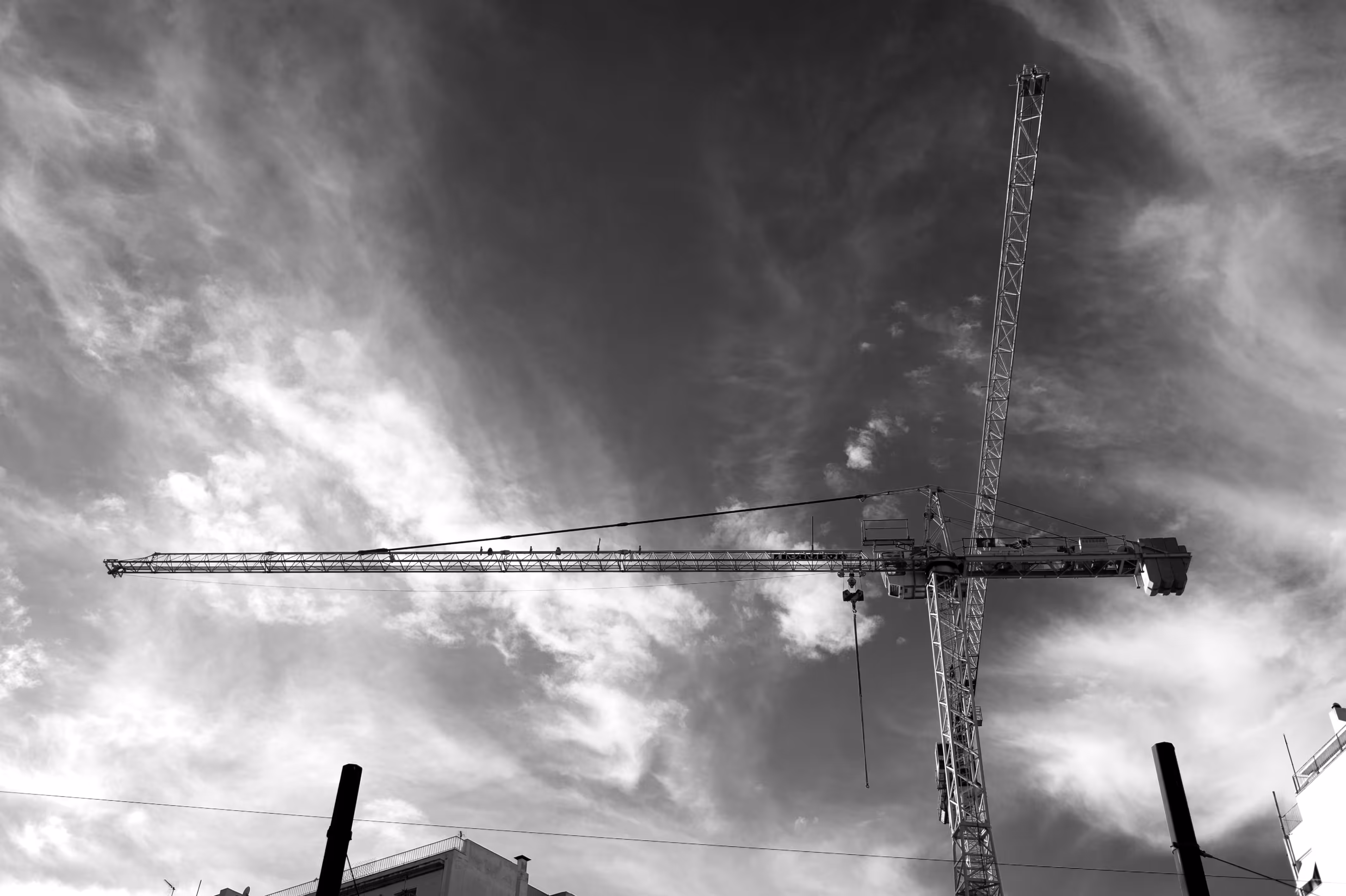The Crane