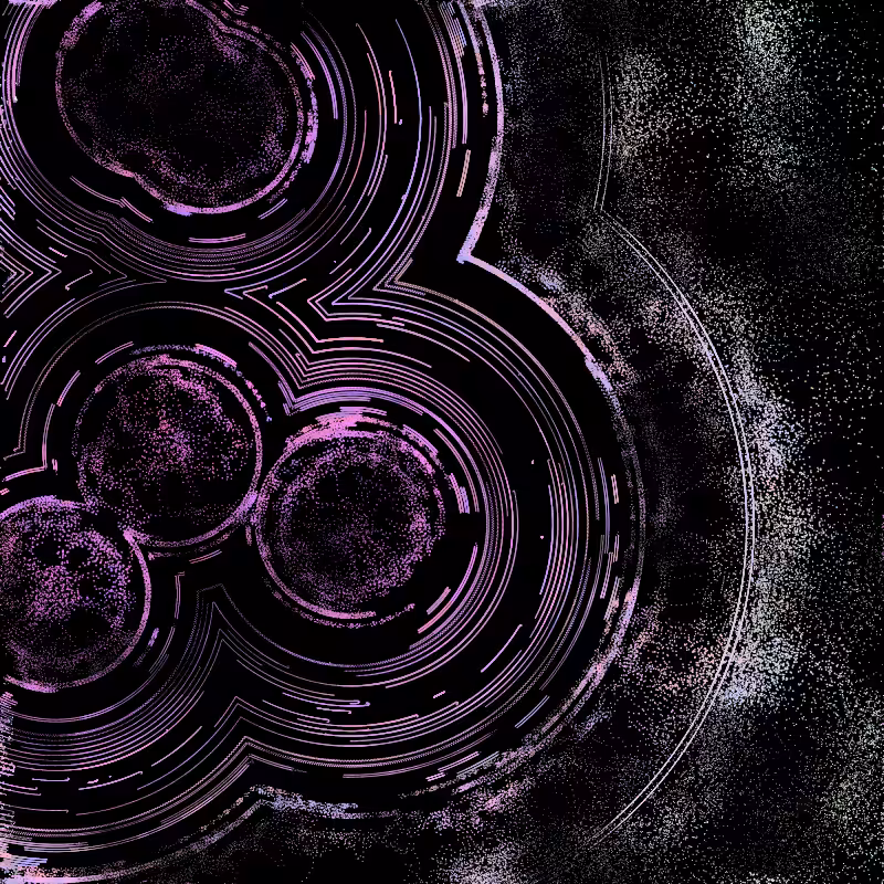 cells in vector fields #49