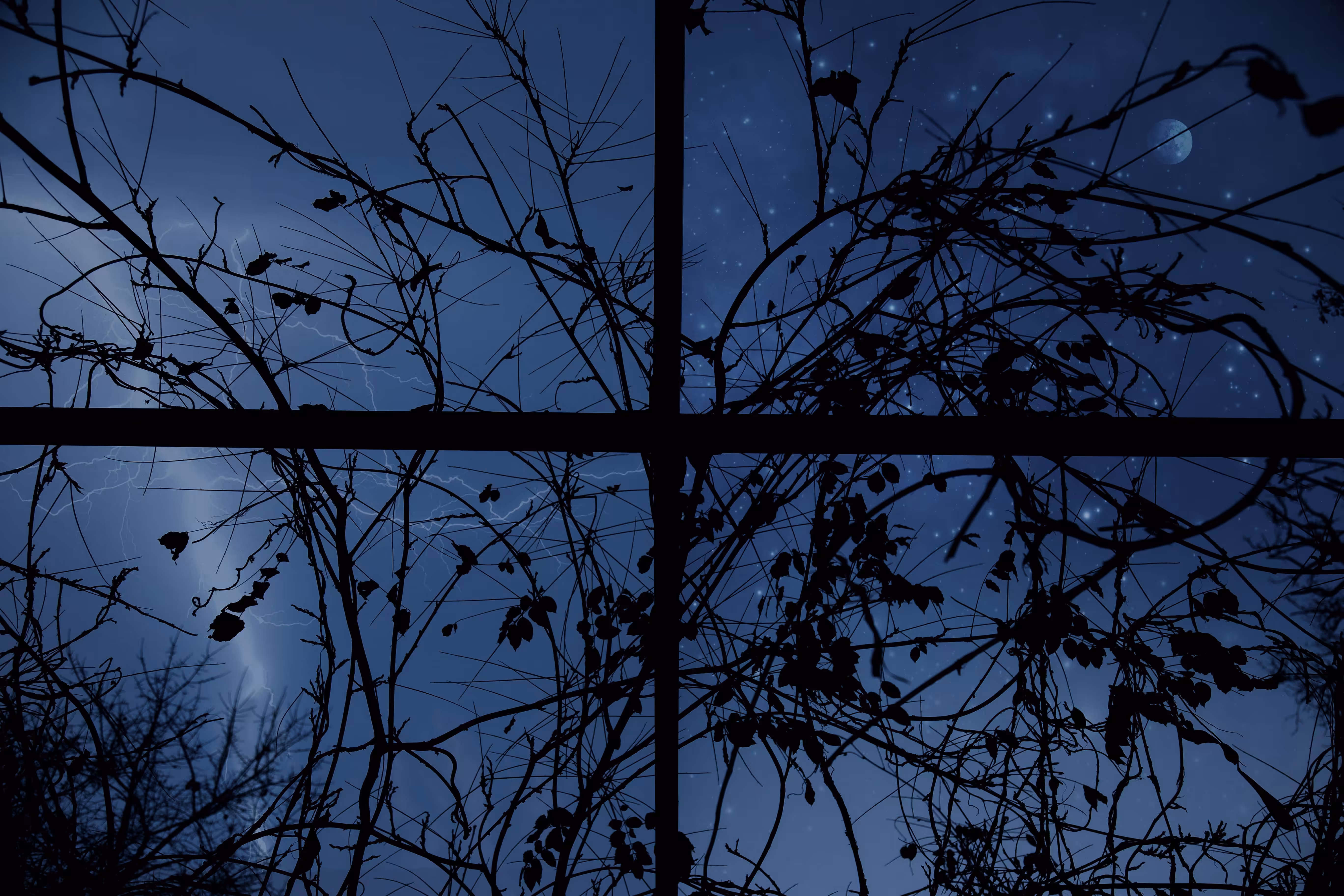 My photography: composition