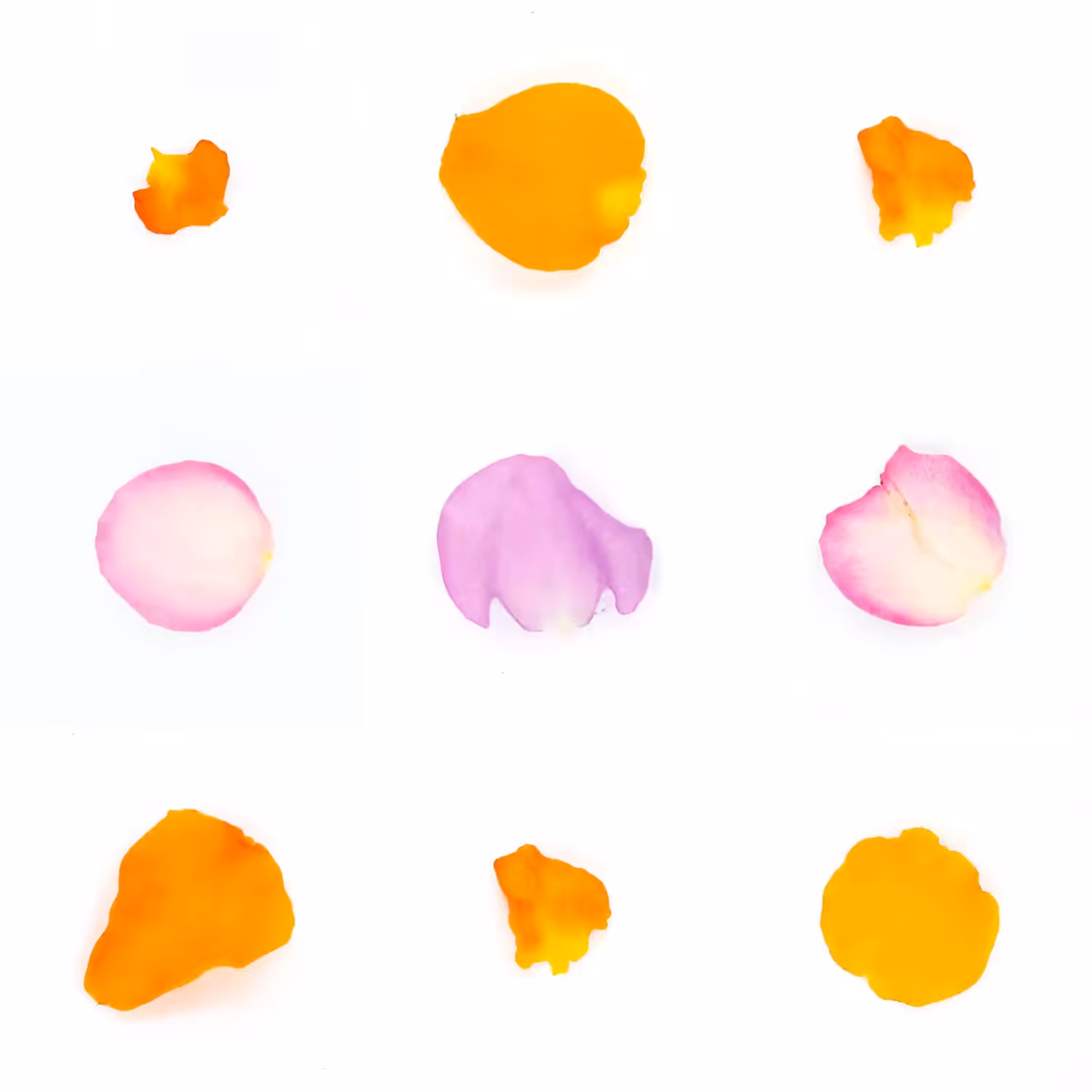 Infinite Petals 3x3#3368