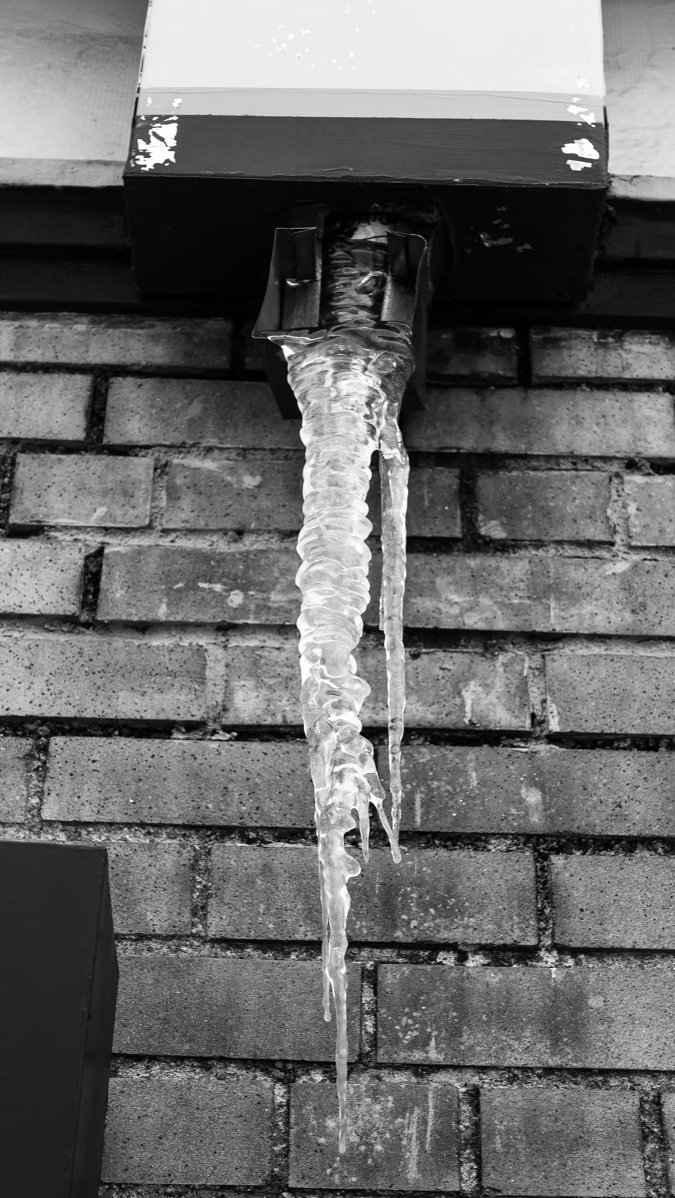 Ice Ice Baby