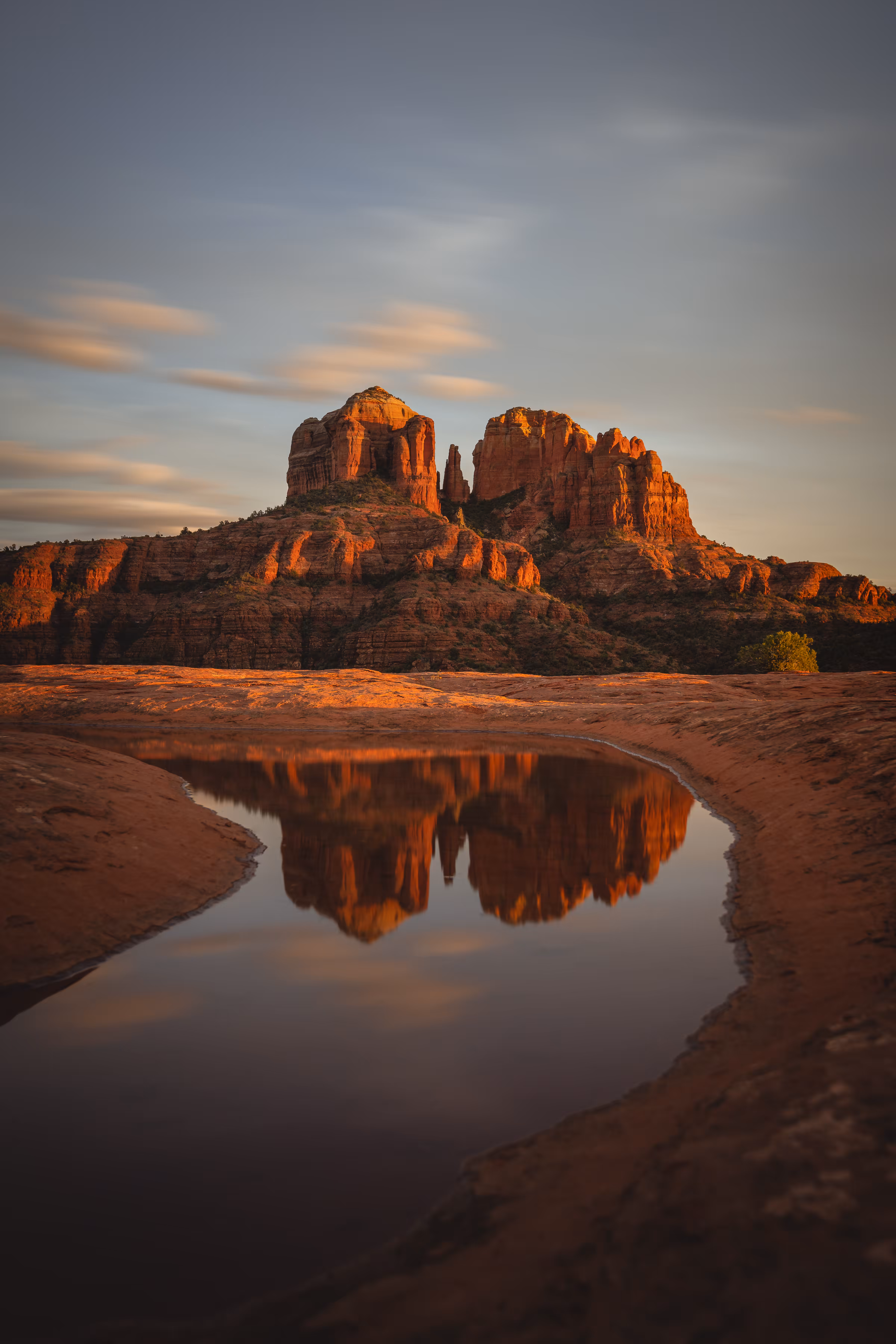 Desert Oasis