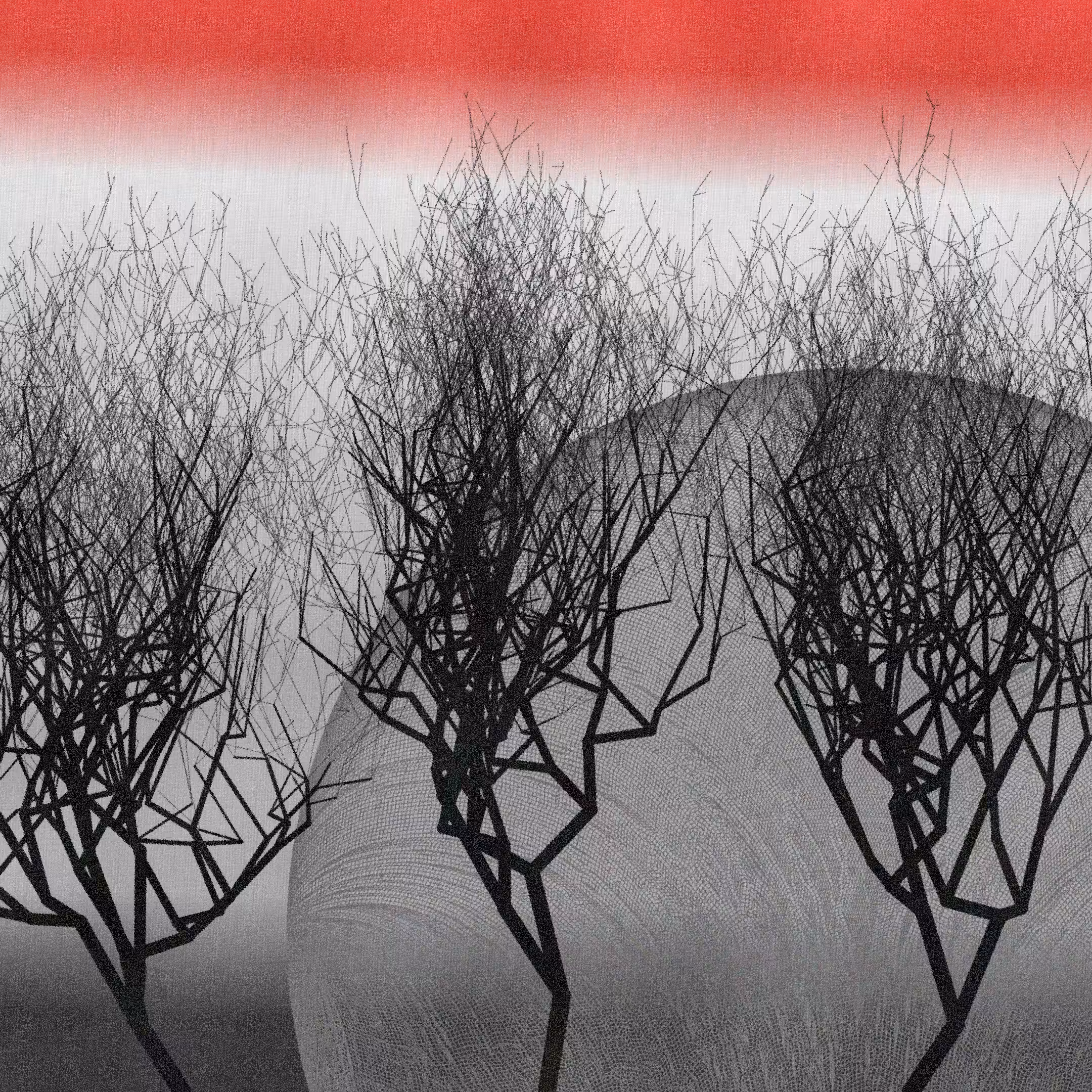 Three dead trees on earth #210