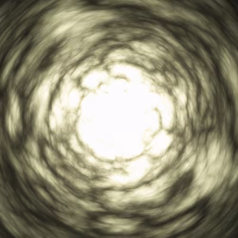 Singularity #255