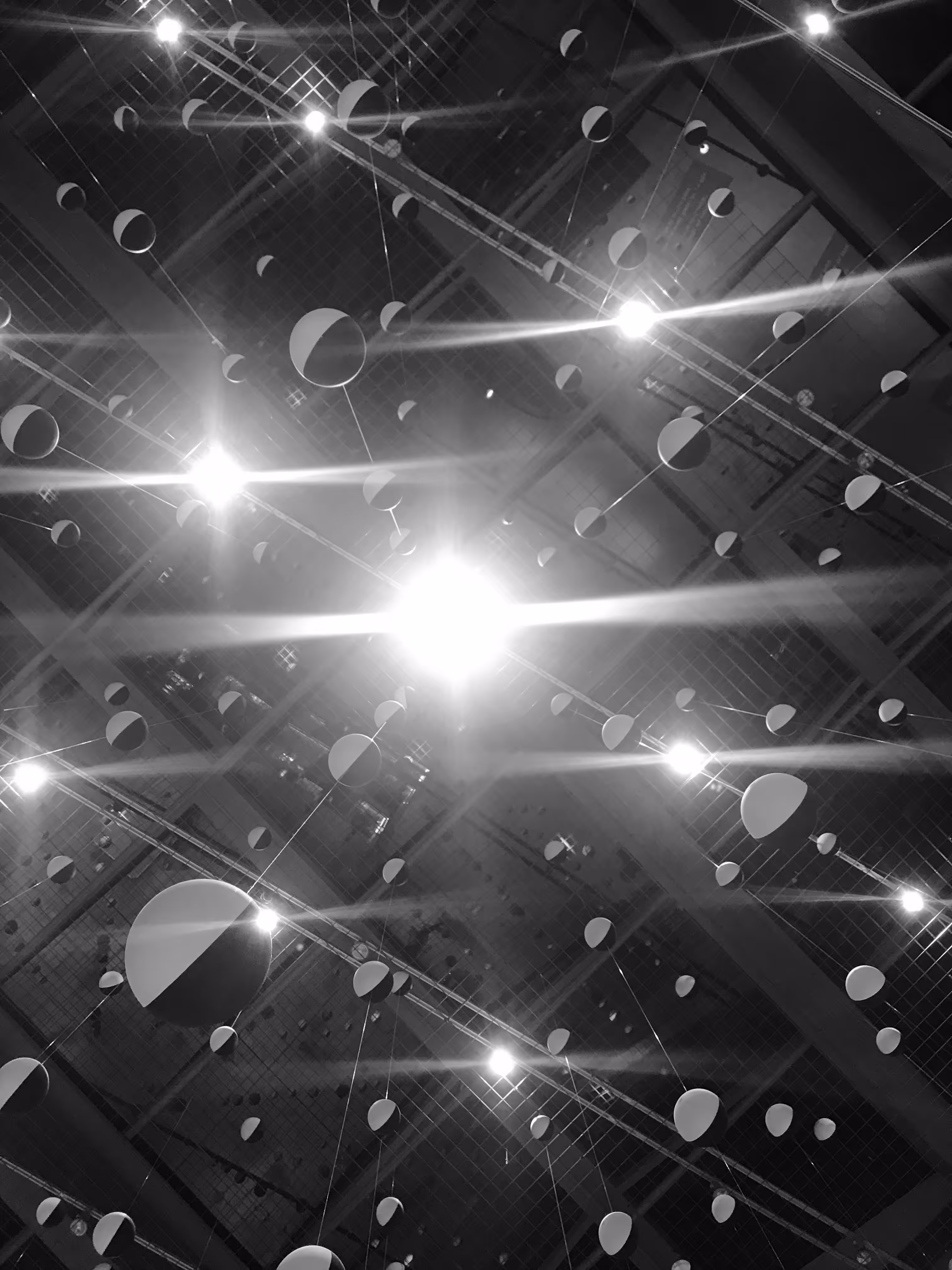 Harmony in Monochrome: Yin Yang Lights