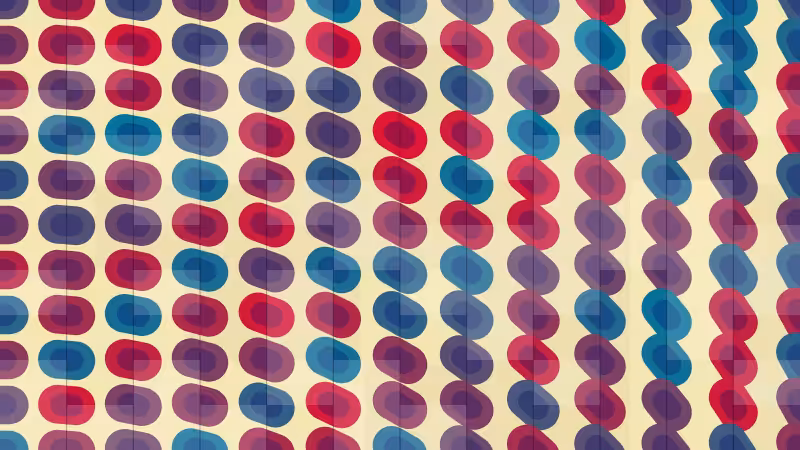 Polka #19