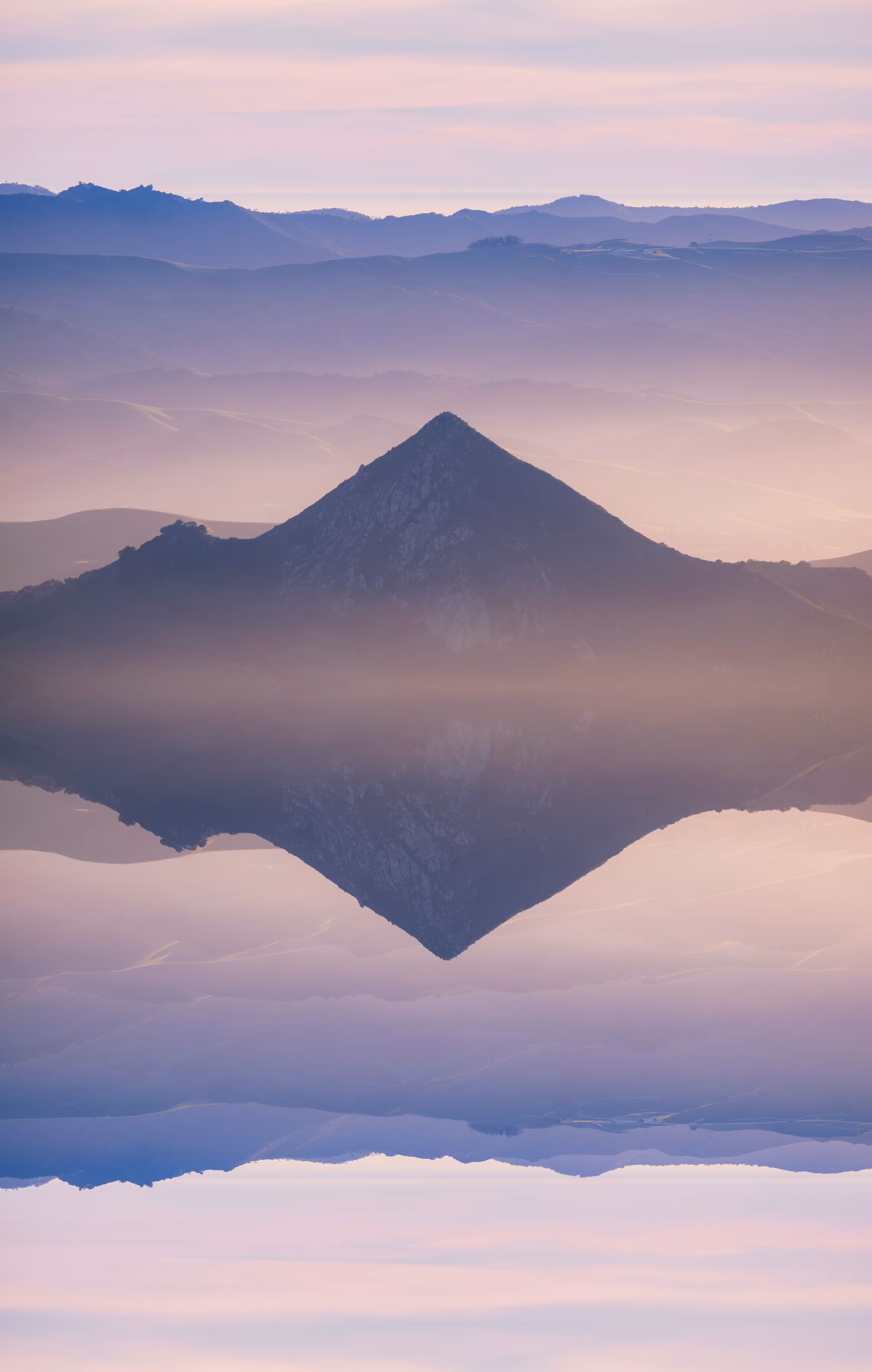 Reflection #101