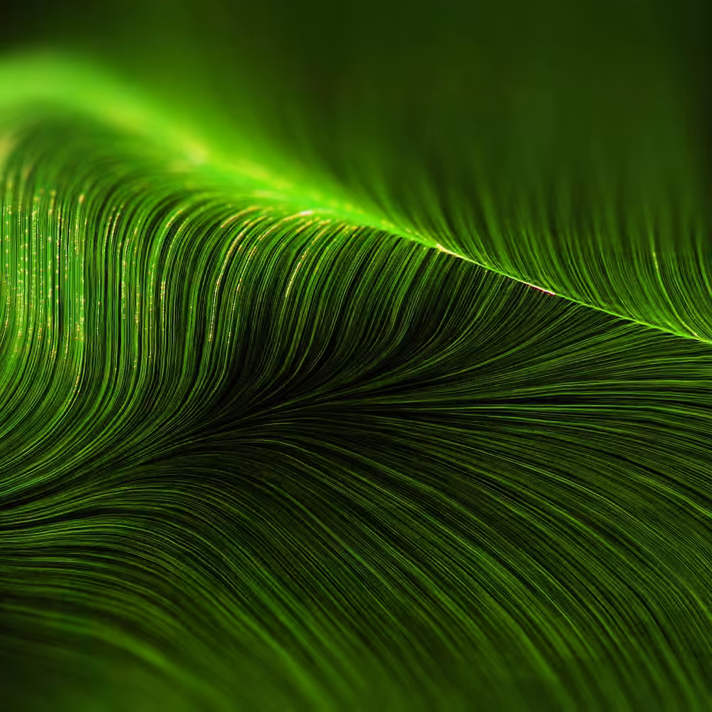 Green everyday