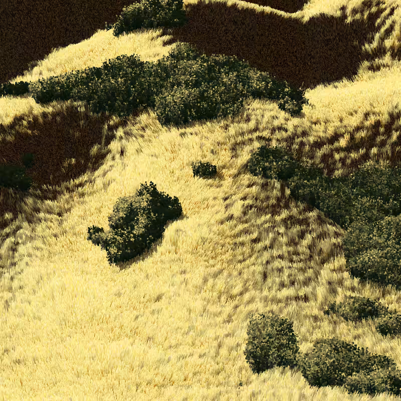 California Hills in Late Sun #188