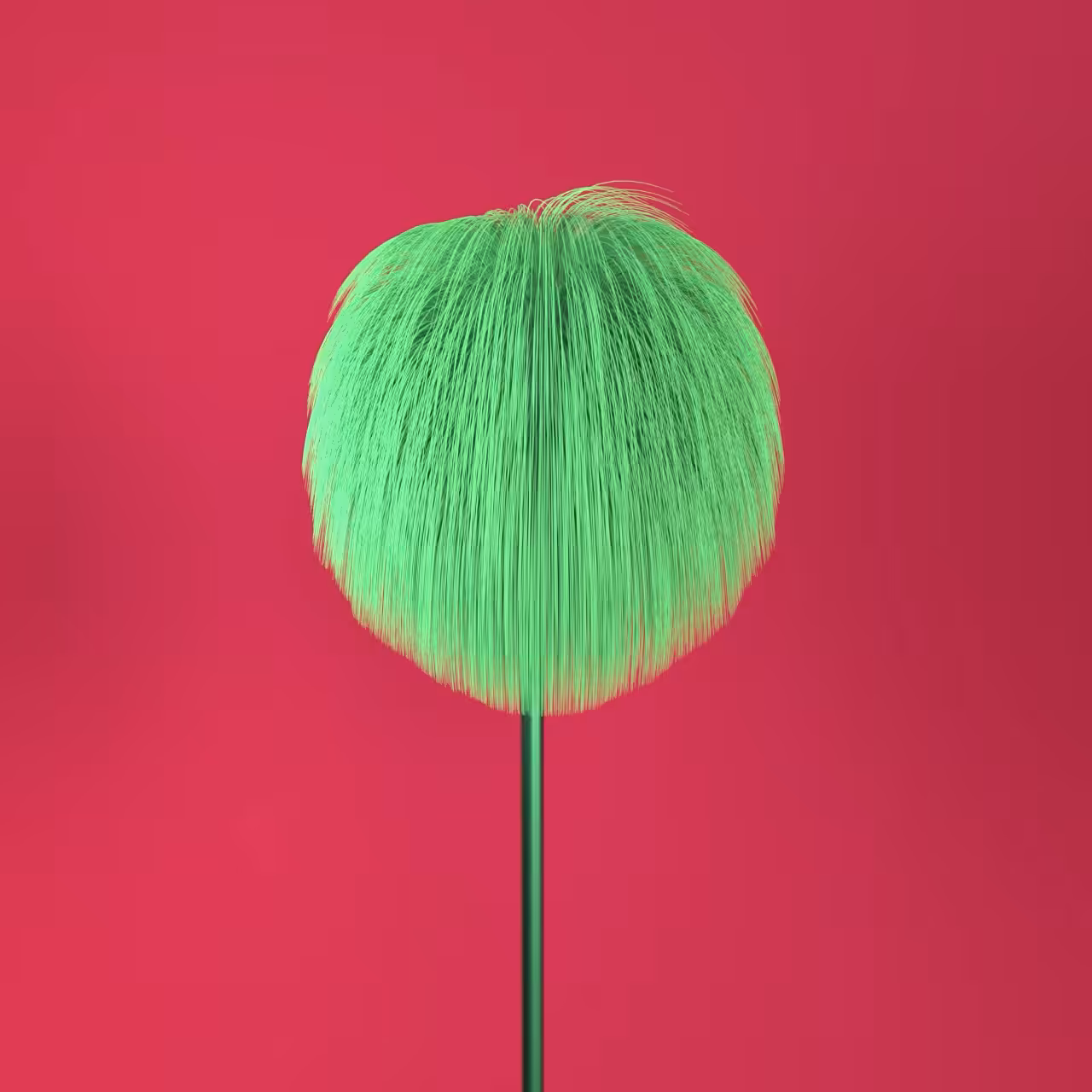 "Lolly's day out" - Park 