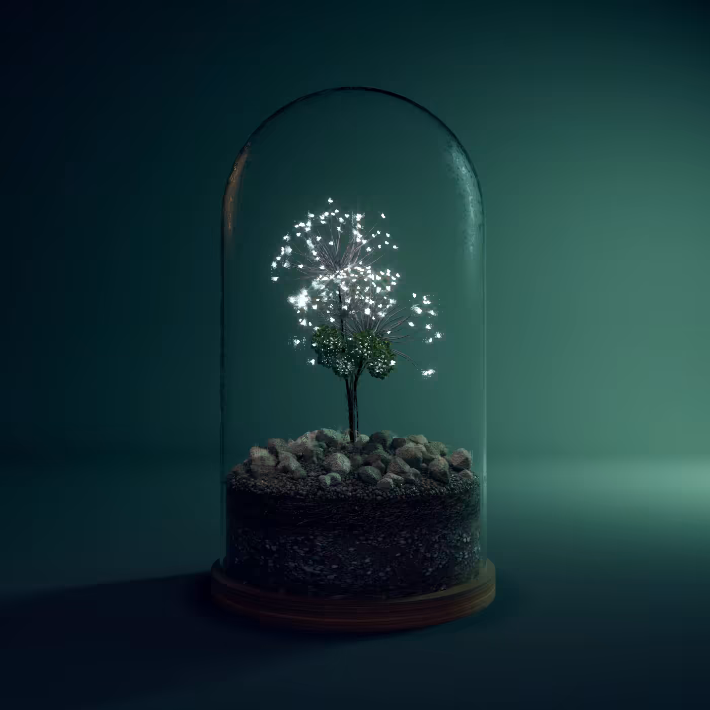 Terrarium #05
