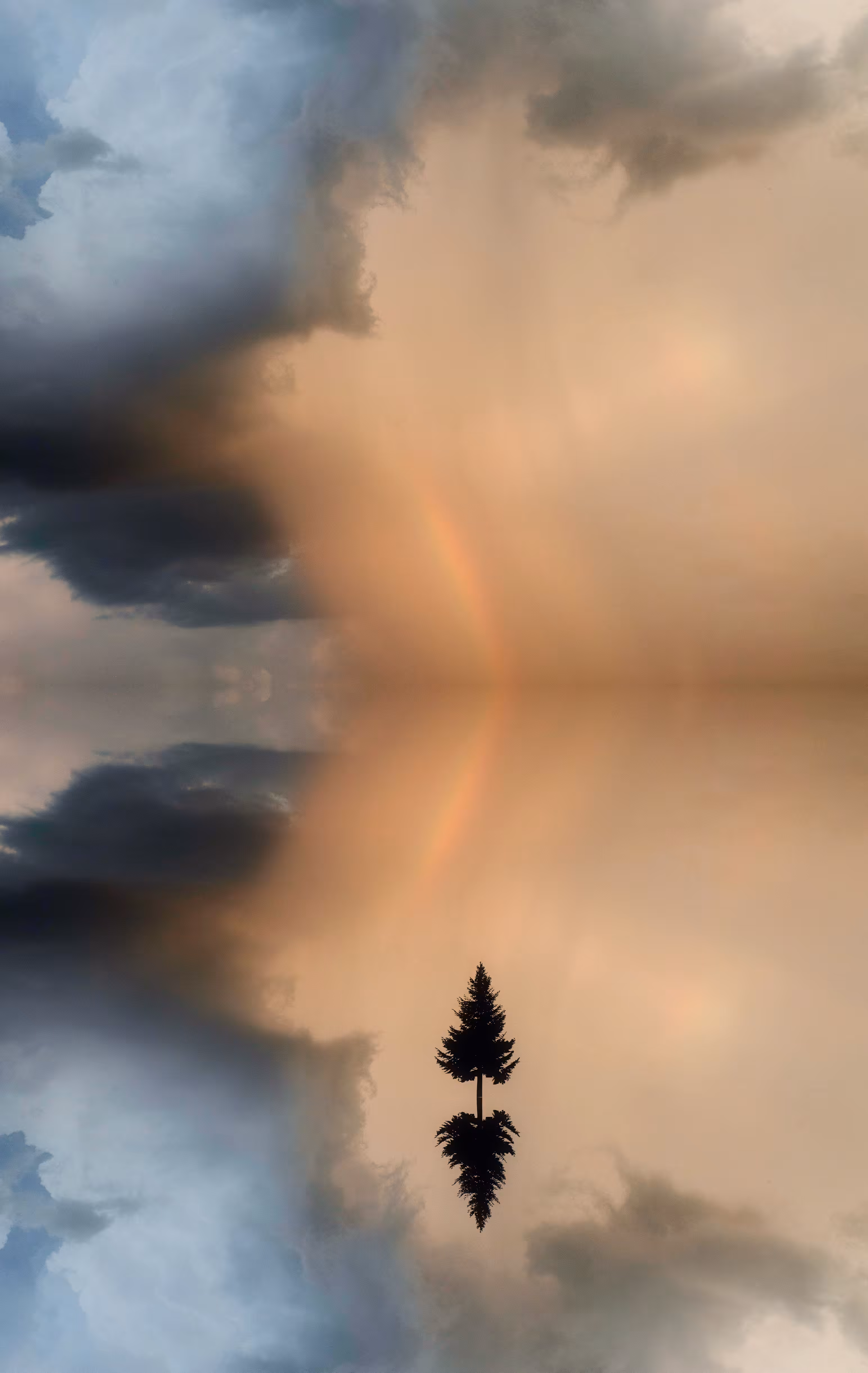 Reflection #67