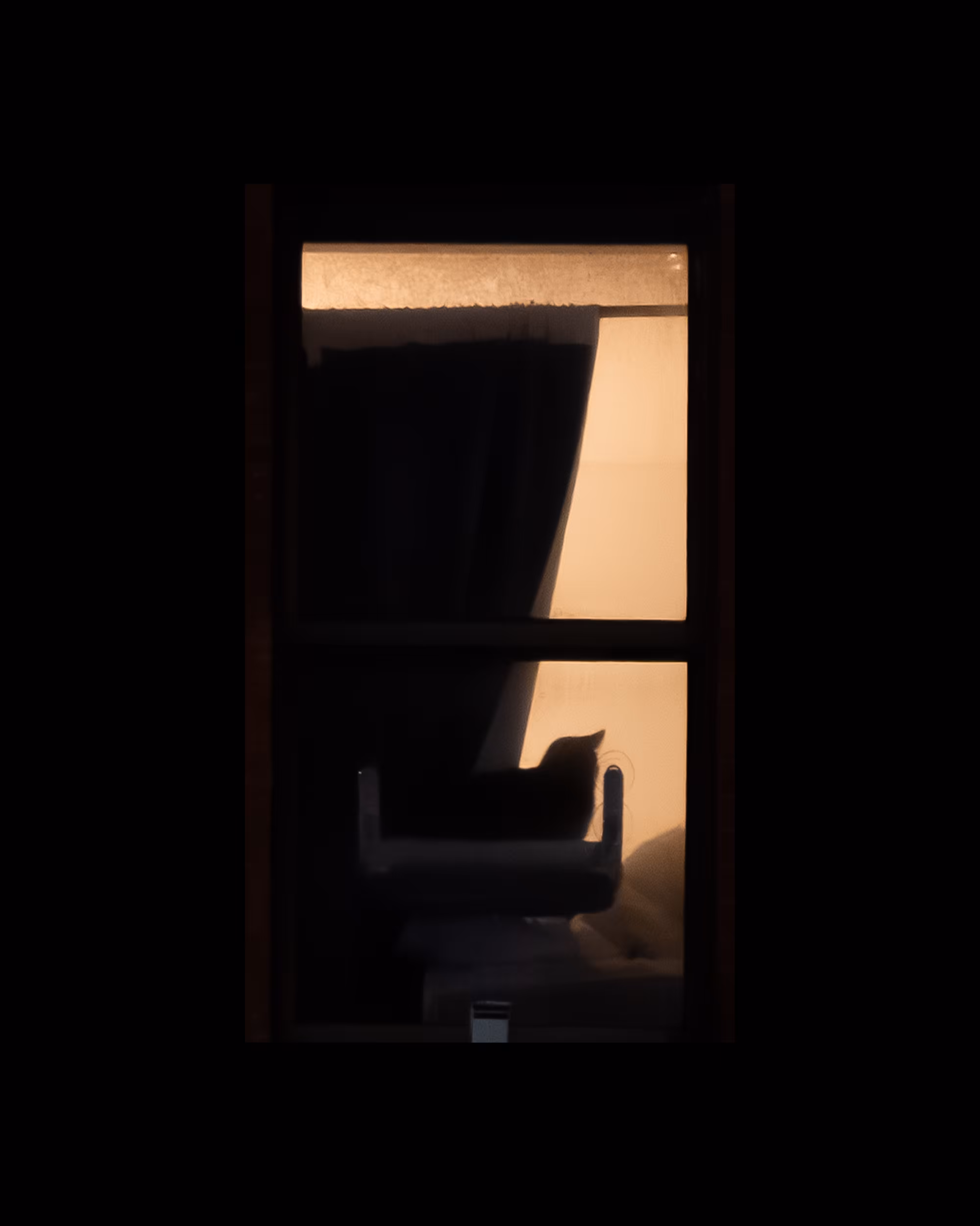 WINDOWS // NYC: WINDOW 870